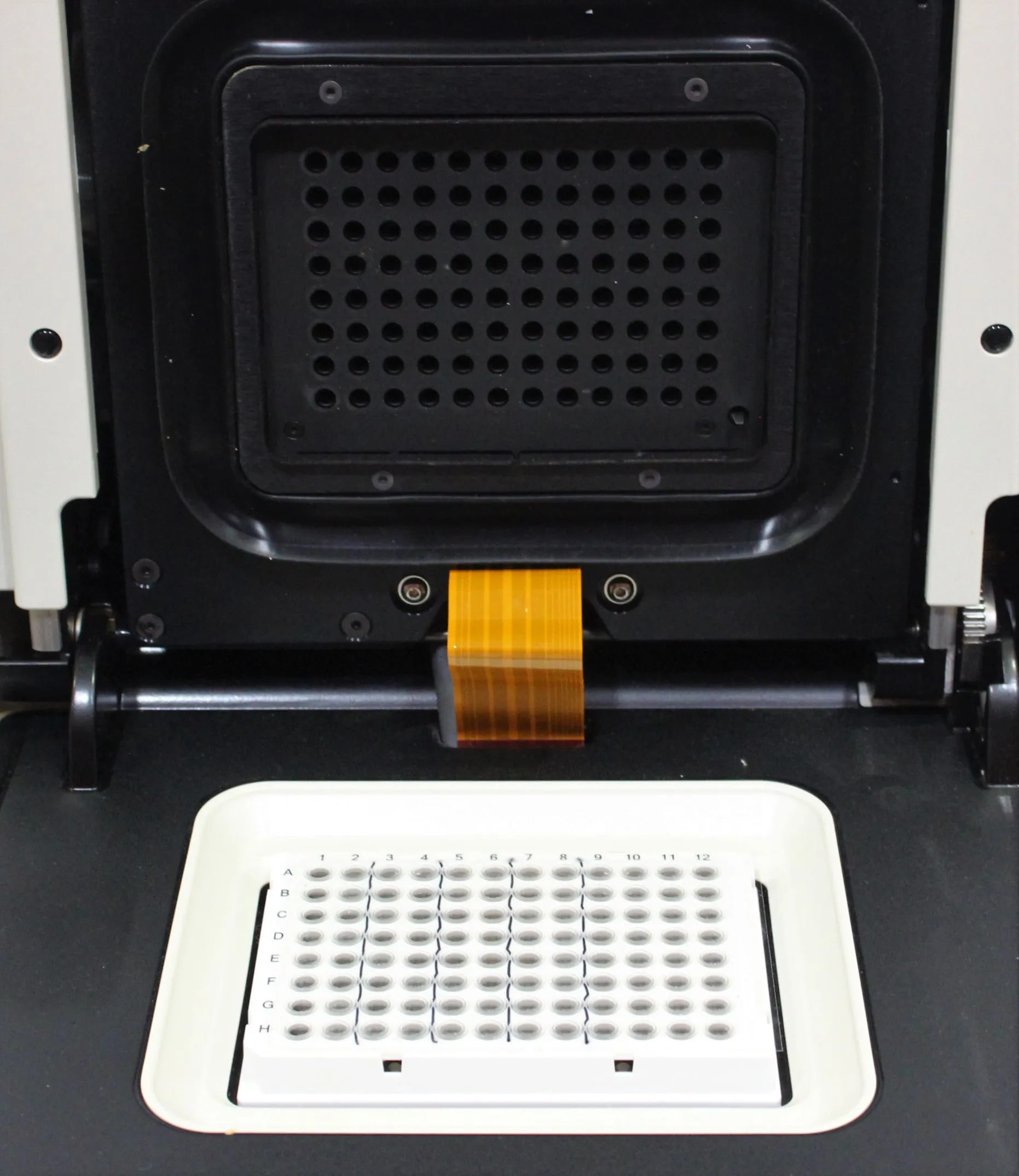 Bio Rad CFX Connect Real-Time PCR