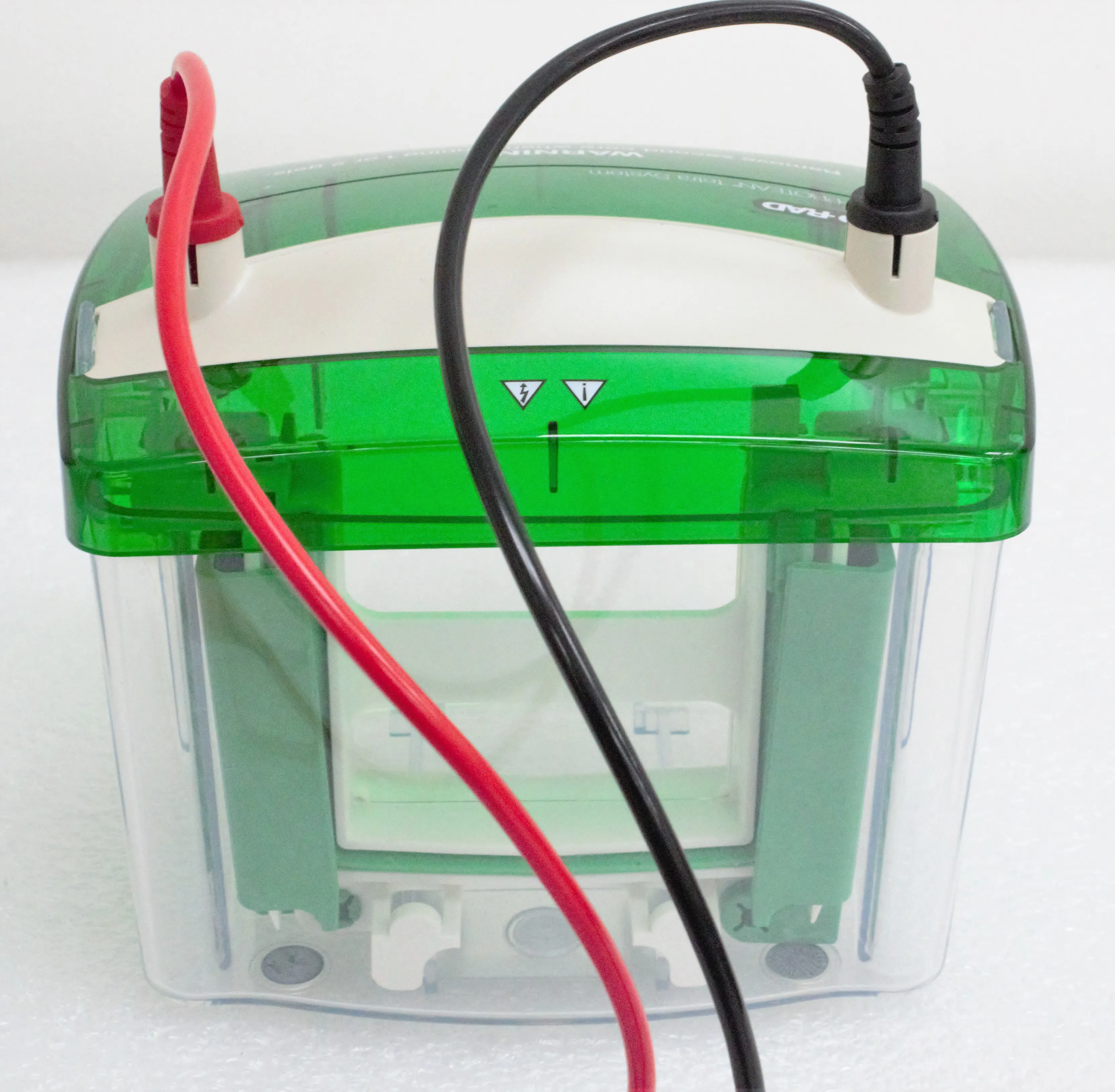 Bio-Rad Mini PROTEAN Tetra Cell Electrophoresis System