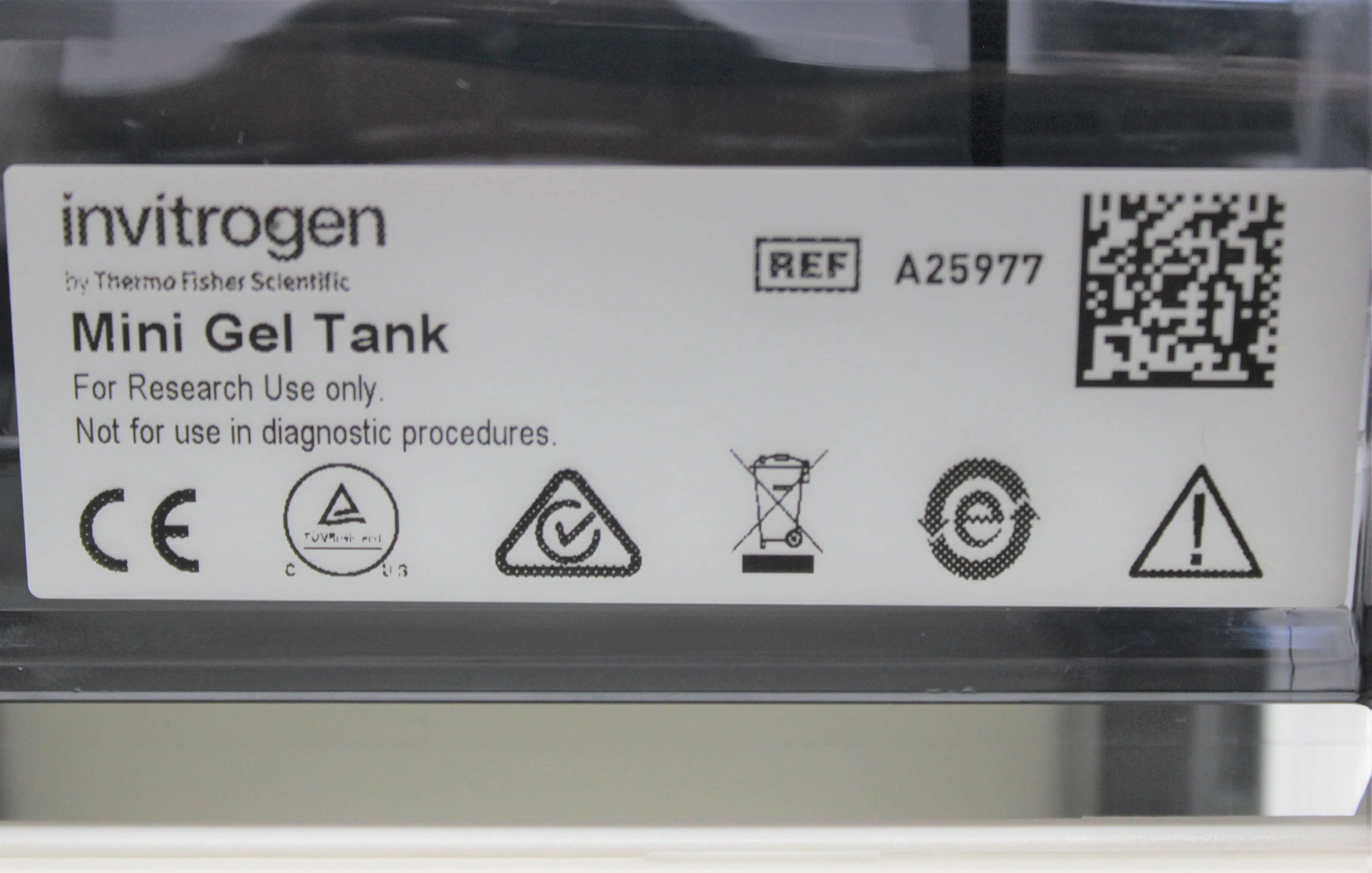 Invitrogen A25977 Mini Gel Tank Electrophoresis System