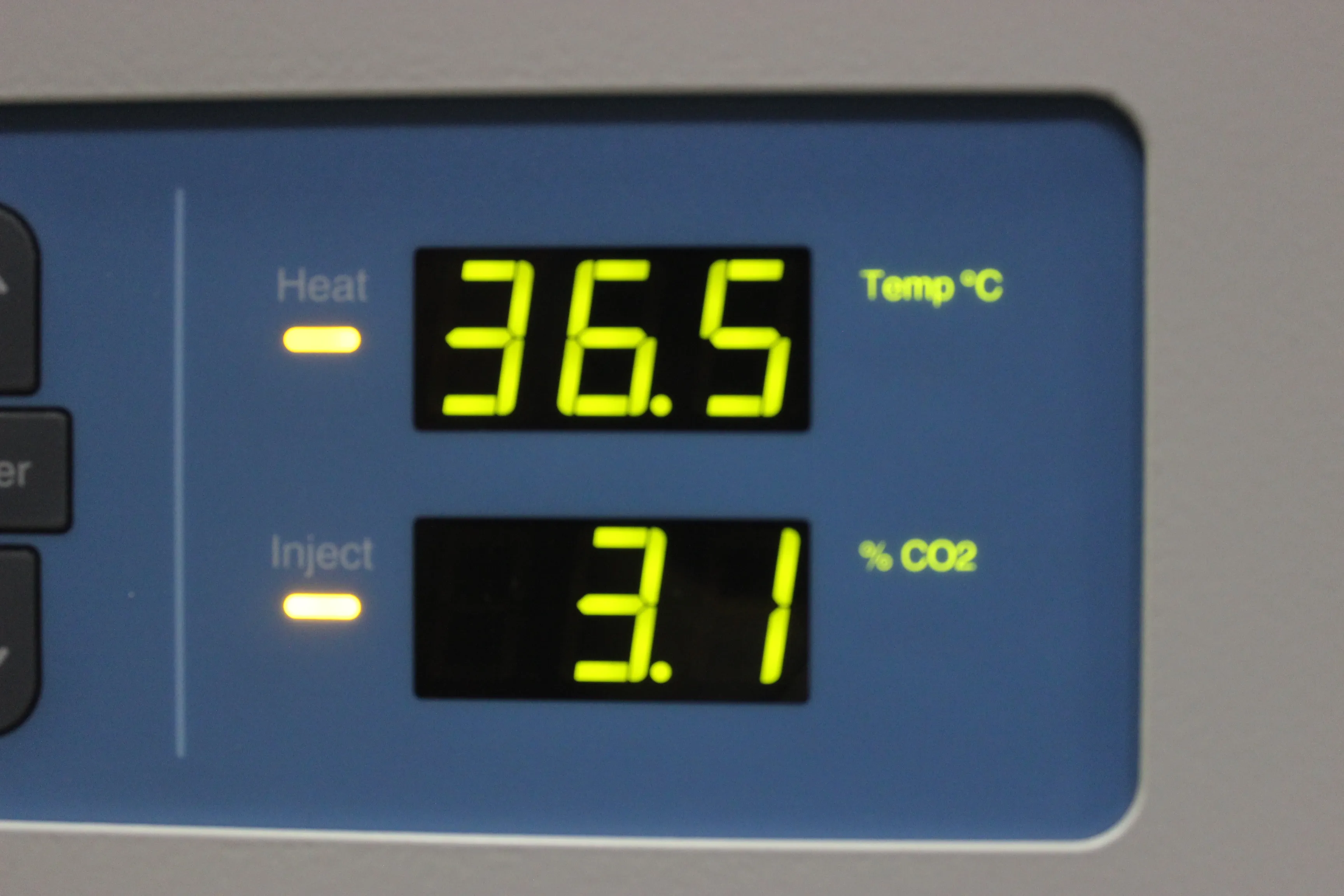 Thermo Scientific Large-Capacity Reach-In CO2 Incubator 3950