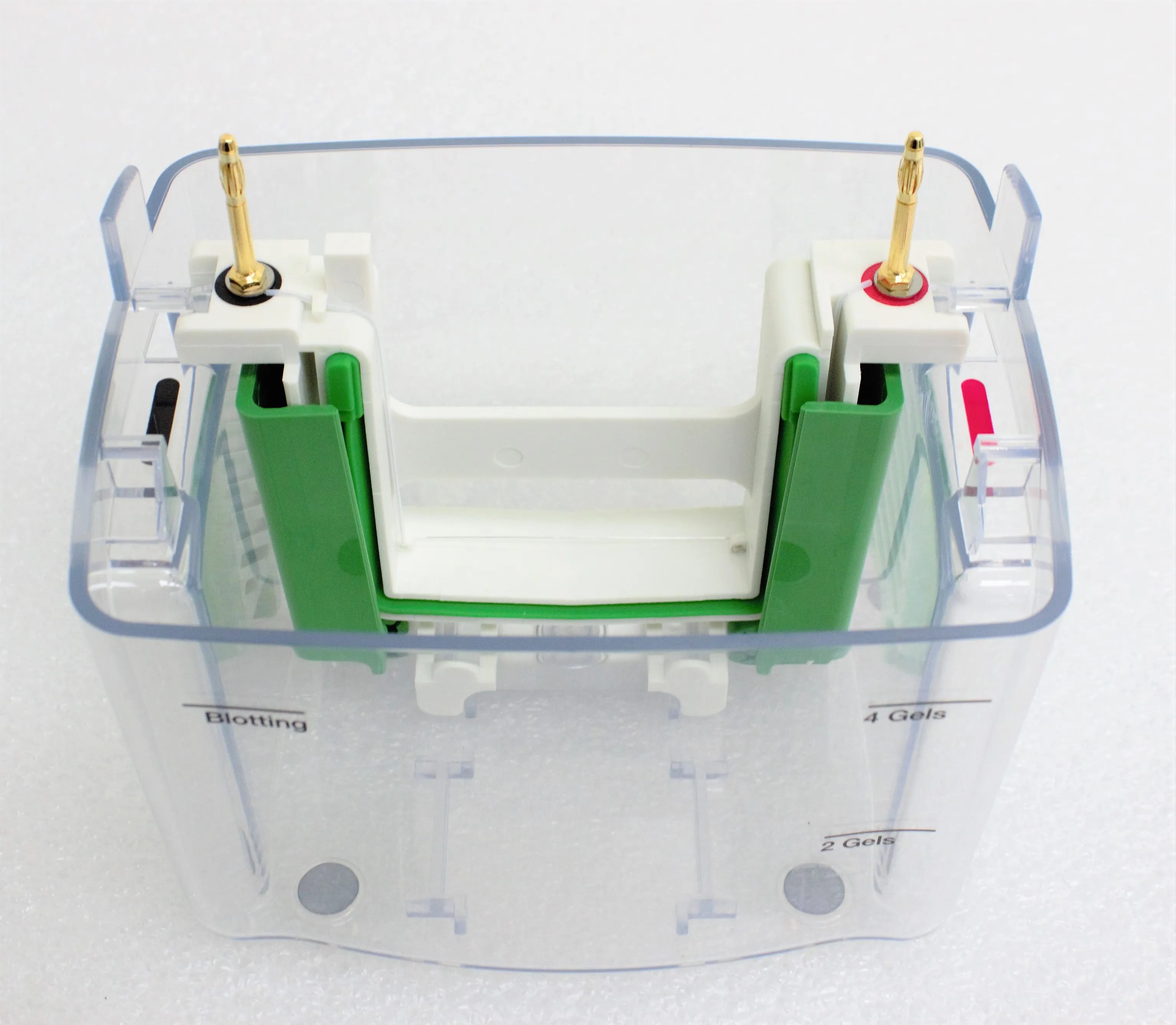 Bio-Rad Mini PROTEAN Tetra Cell Electrophoresis System