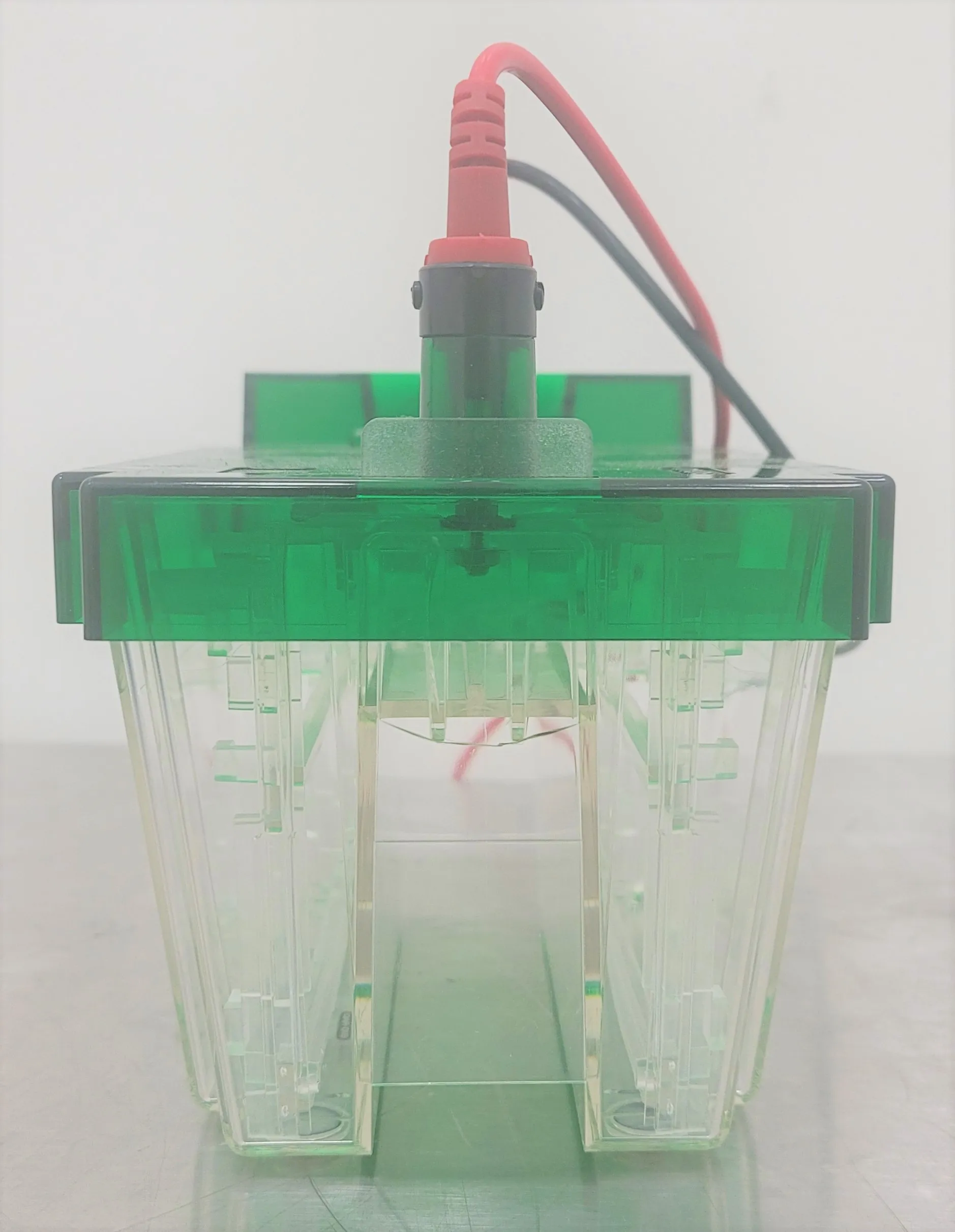 Bio-Rad Criterion Cell Electrophoresis System