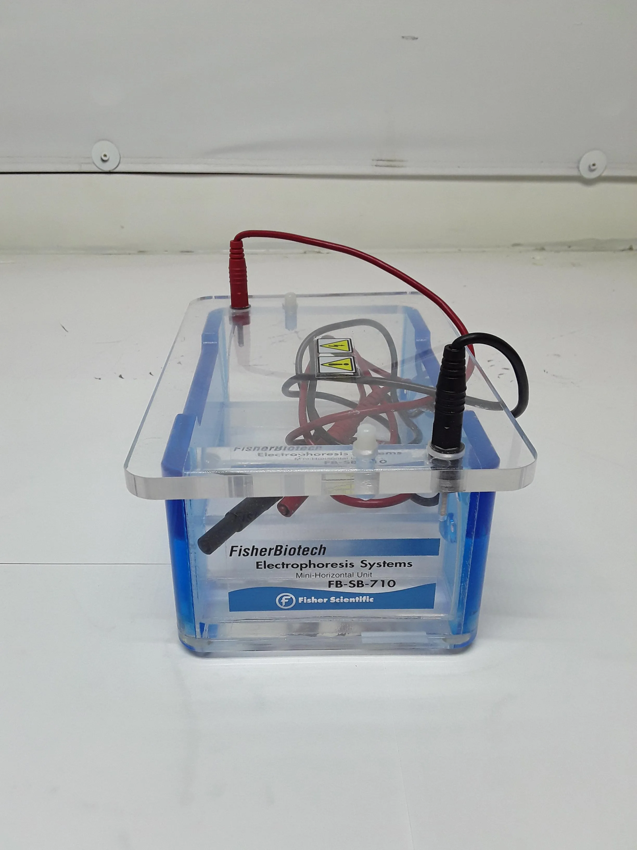 FisherBiotech Mini Horizontal Electrophoresis System FB-SB-710