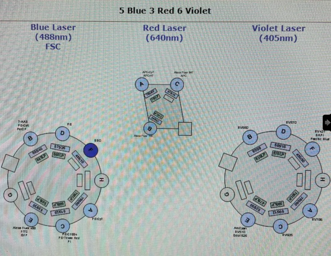 BD Biosciences LSRFortessa 3 Lasers: 5Blue/3Red/6Violet Flow Cytometer