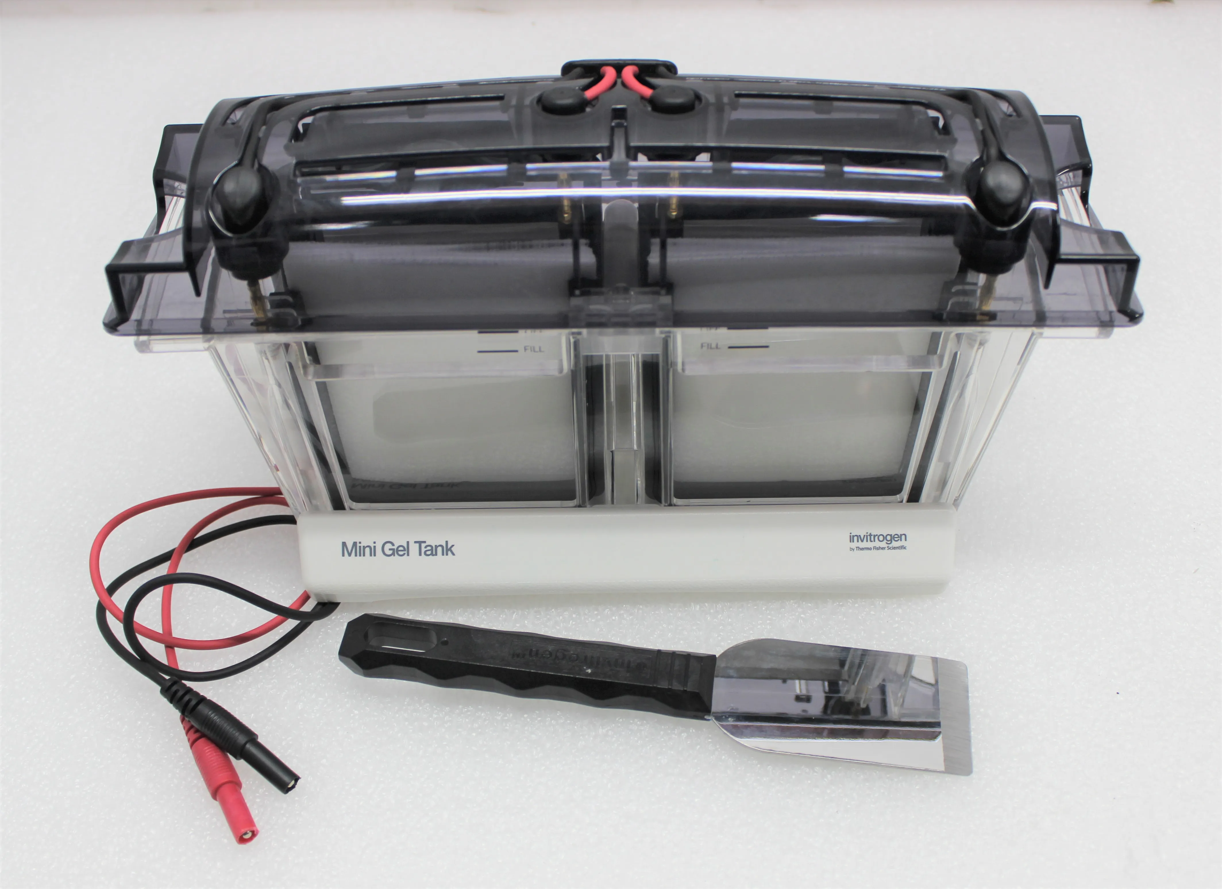 Invitrogen Mini Gel Tank A25977 Electrophoresis System