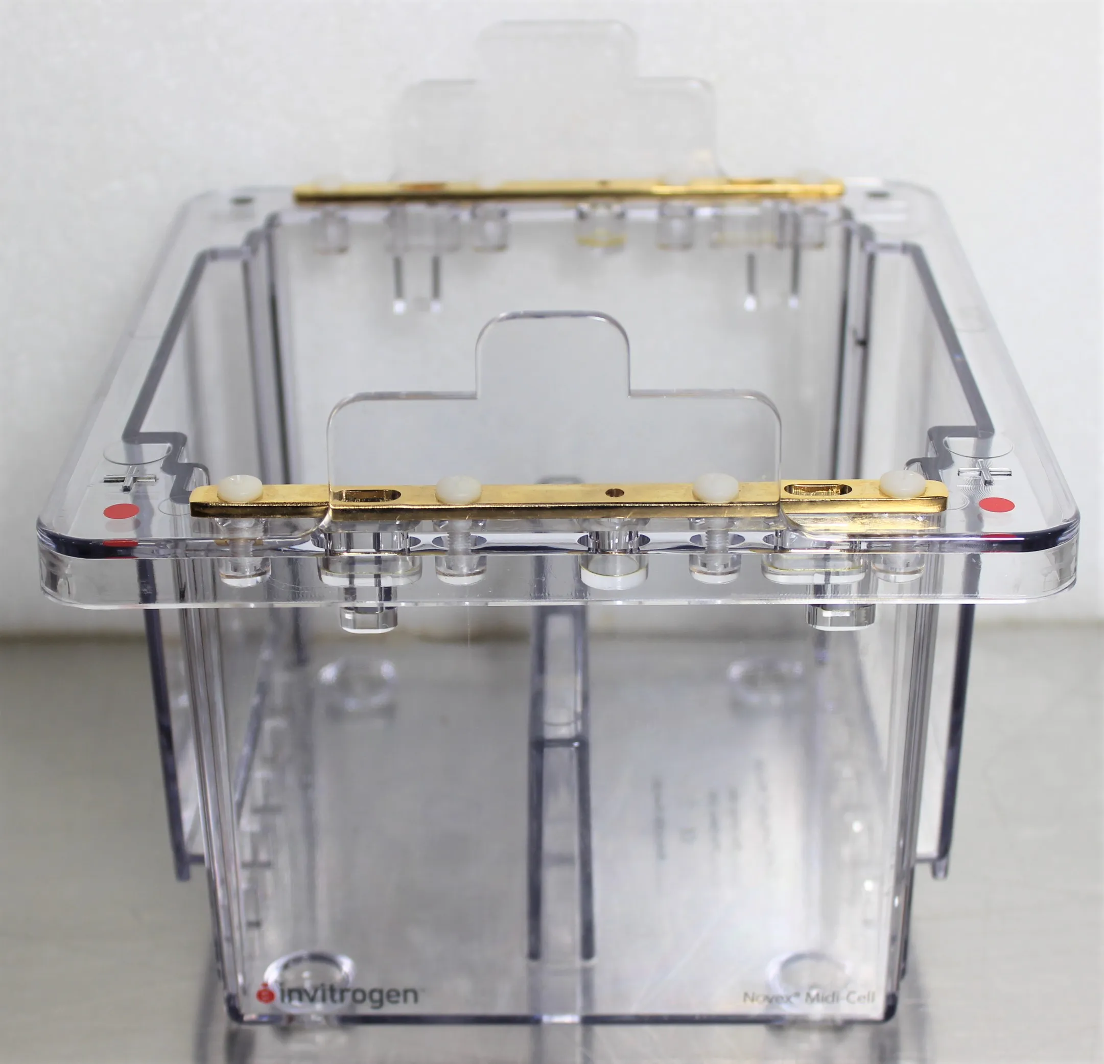 Invitrogen XCell4 SureLock Midi-Cell Electrophoresis System WR0100