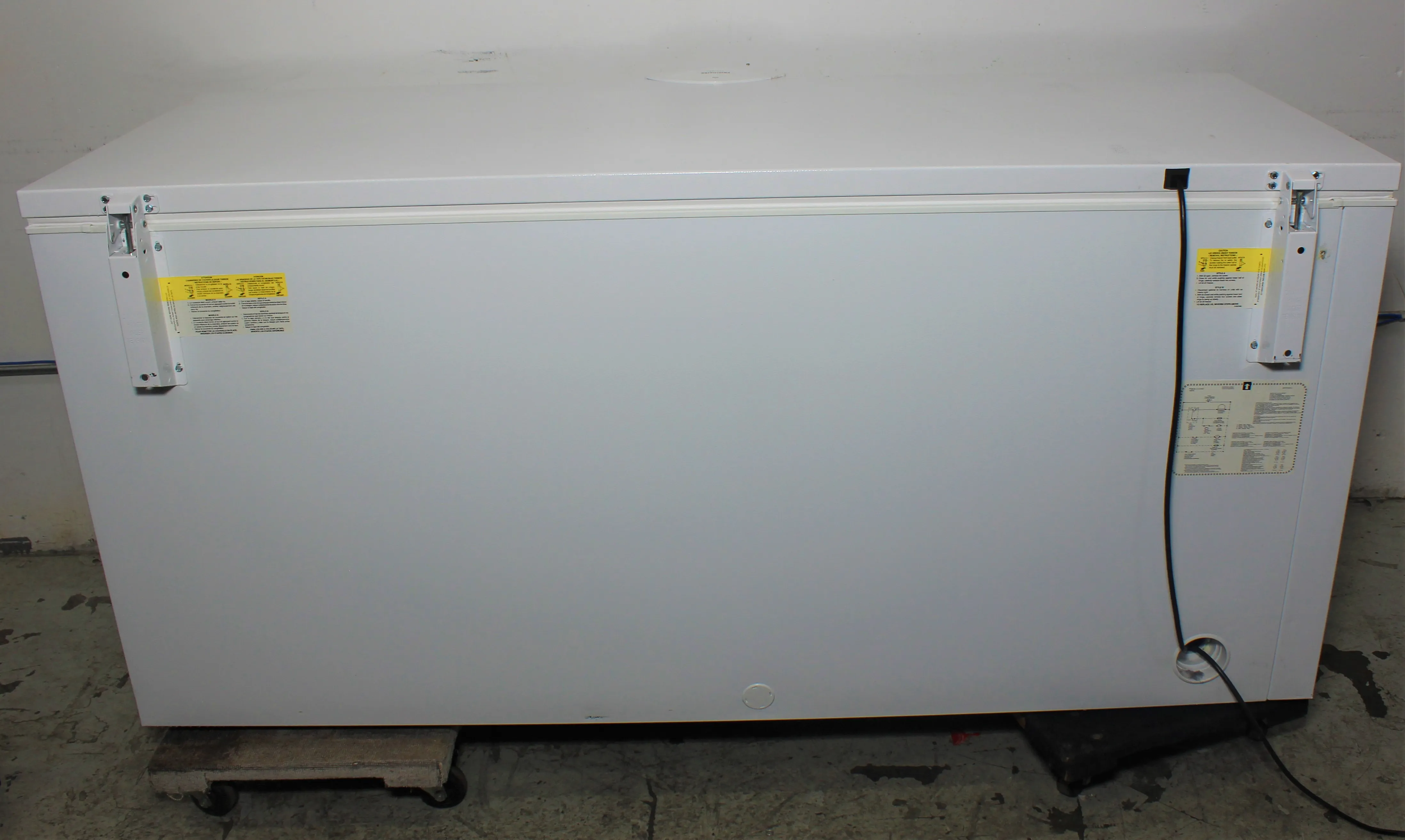 Frigidaire Commercial FGCH25M8LW1 Chest Freezer