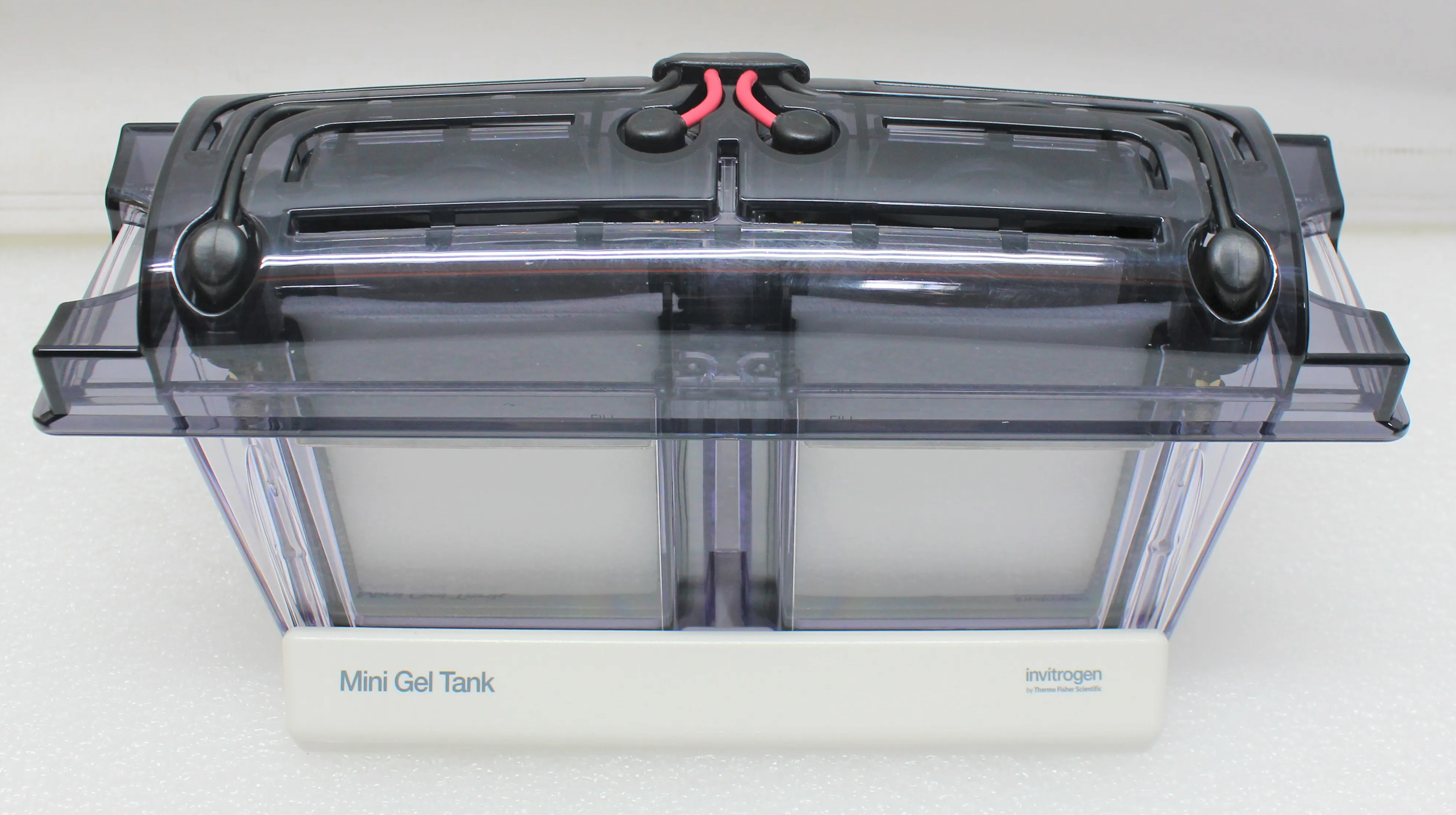 Thermo Scientific Mini Gel Tank Electrophoresis System