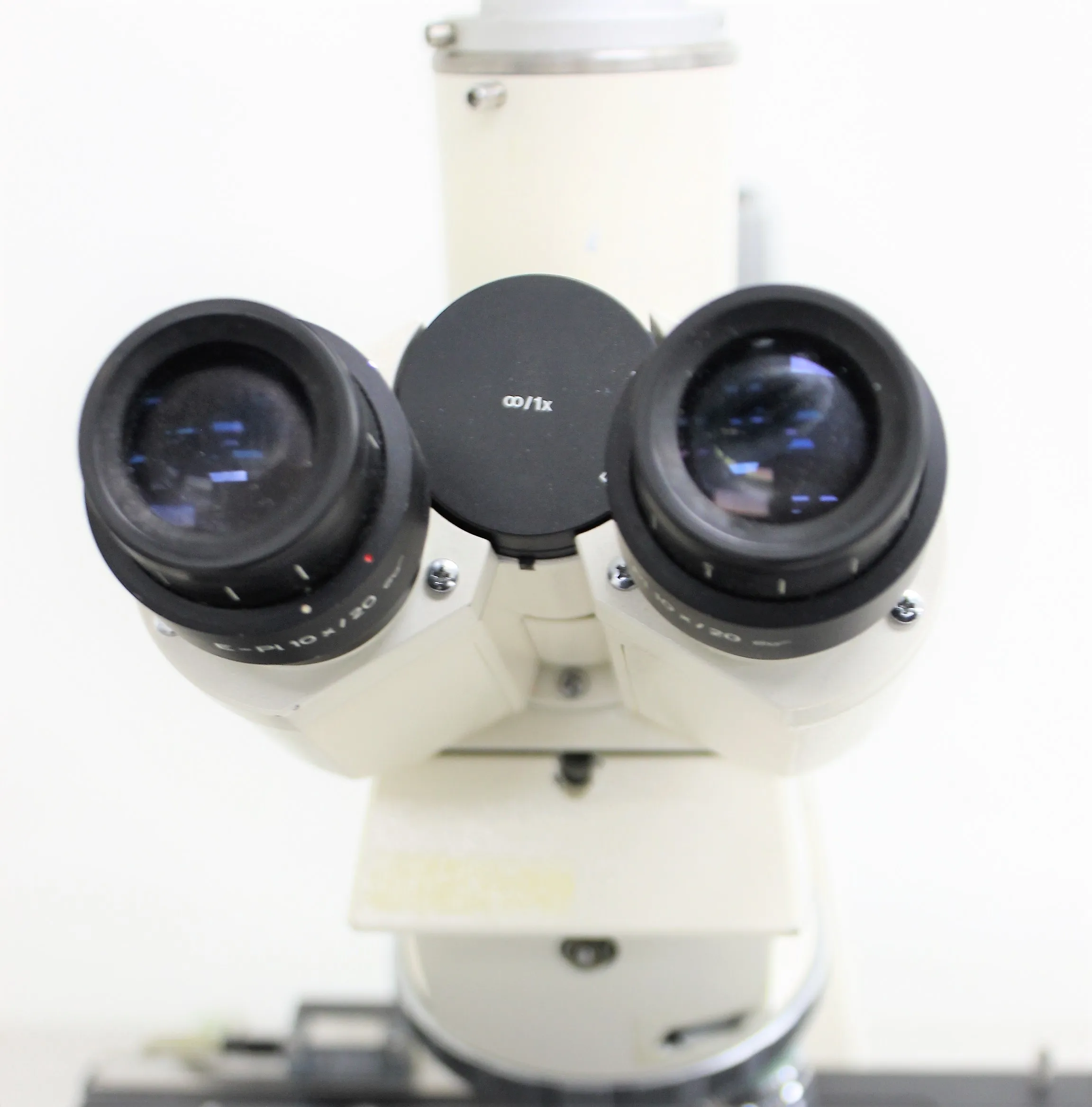 Zeiss Axioskop Microscope with 30-Day Warranty