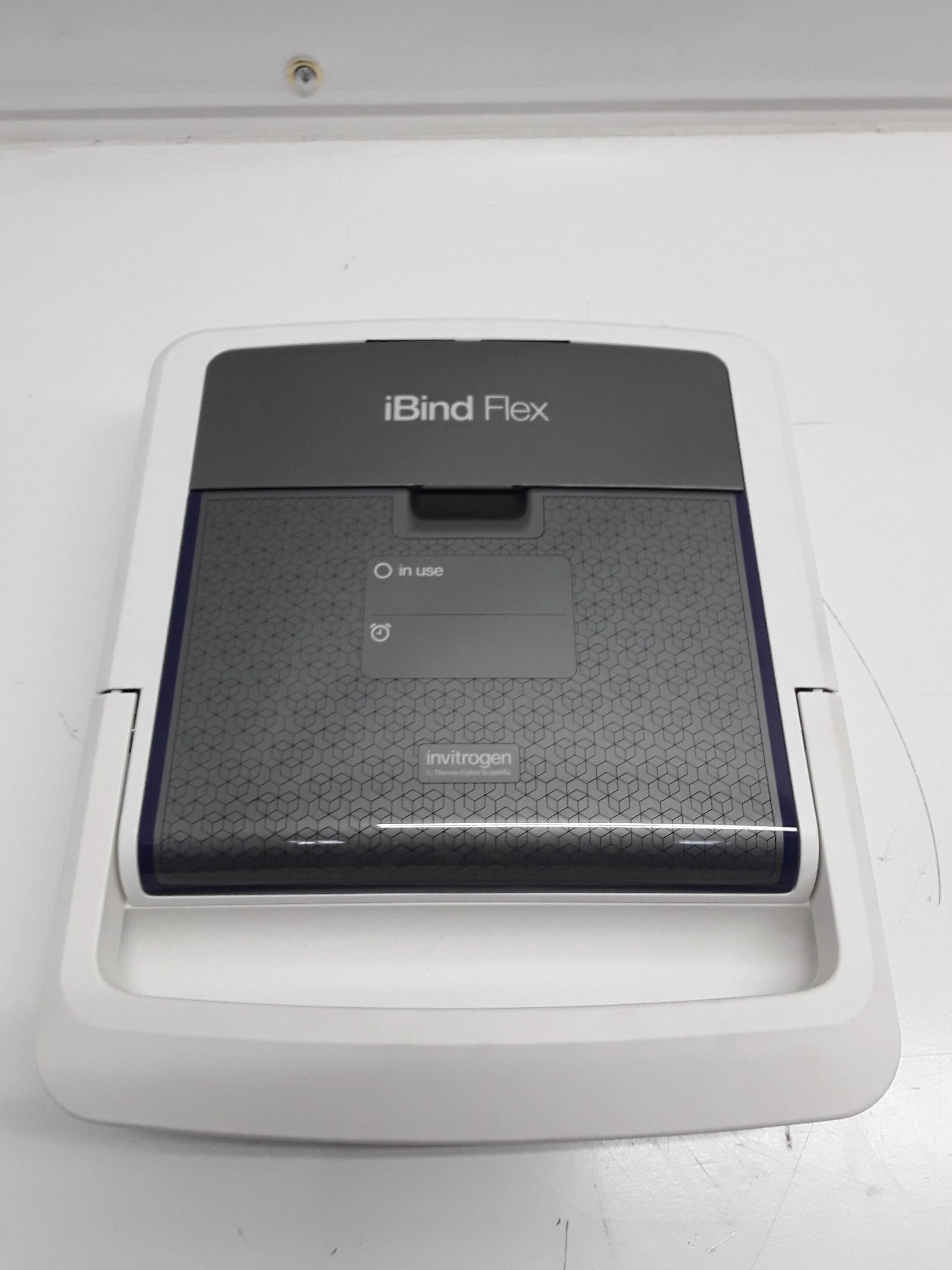 Used iBind Flex Western Device - Invitrogen