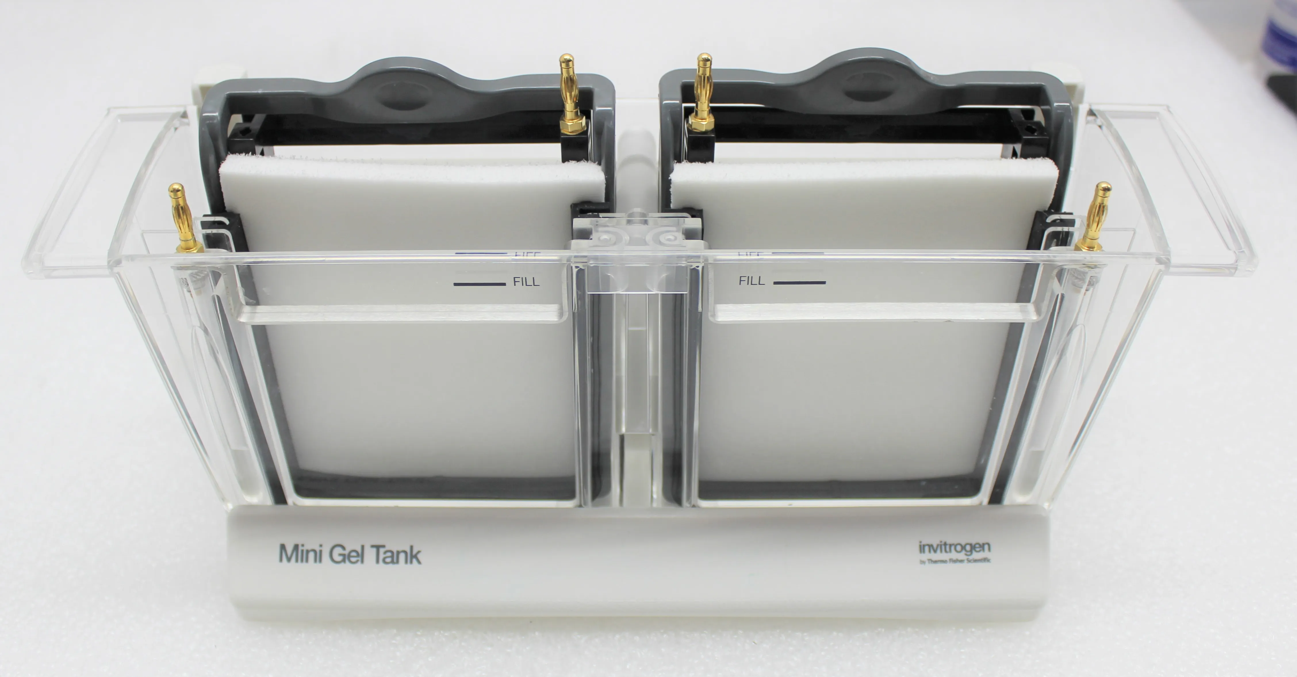 Invitrogen Mini Gel Tank A25977 Electrophoresis System