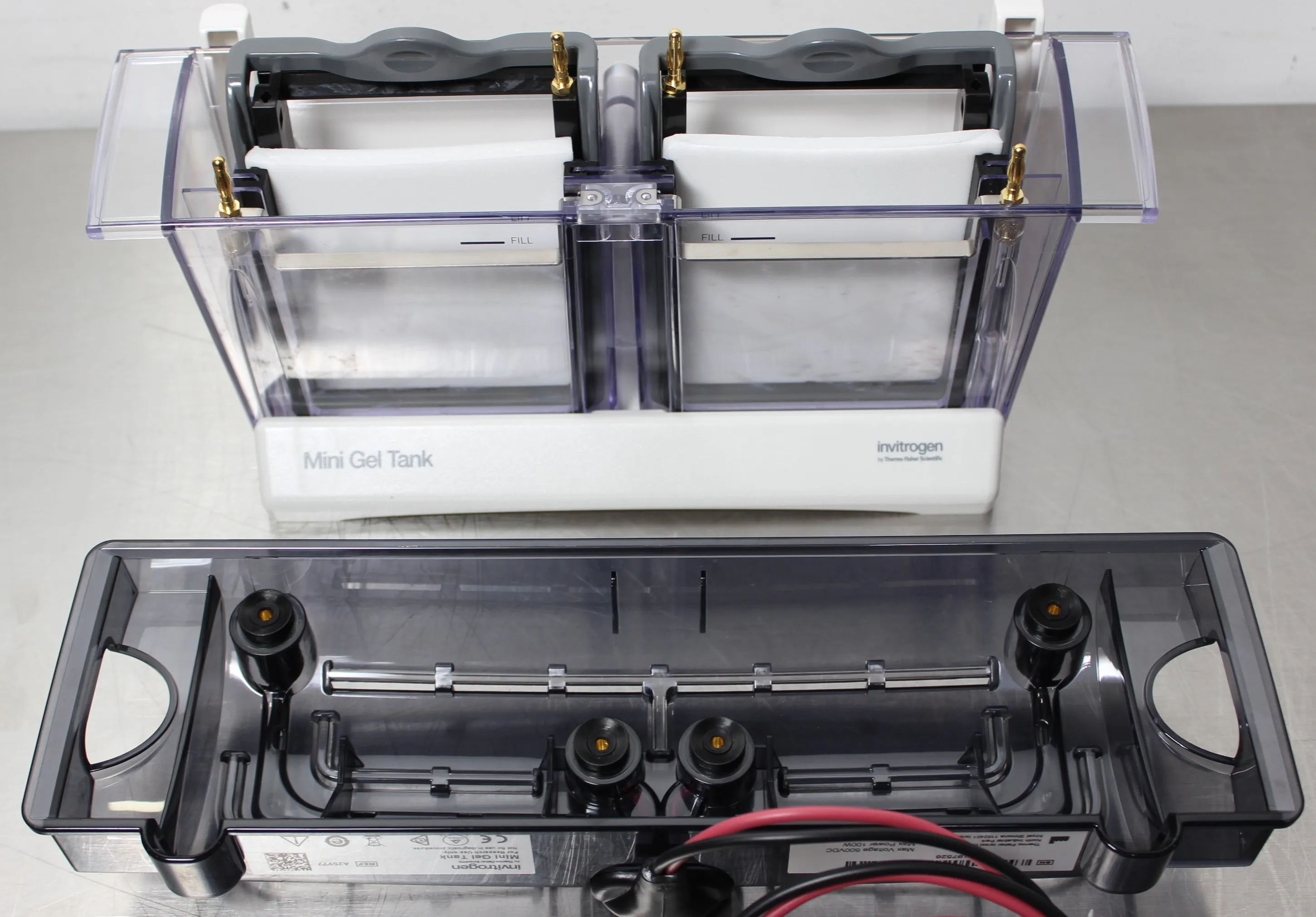 Invitrogen A25977 Mini Gel Tank Electrophoresis System