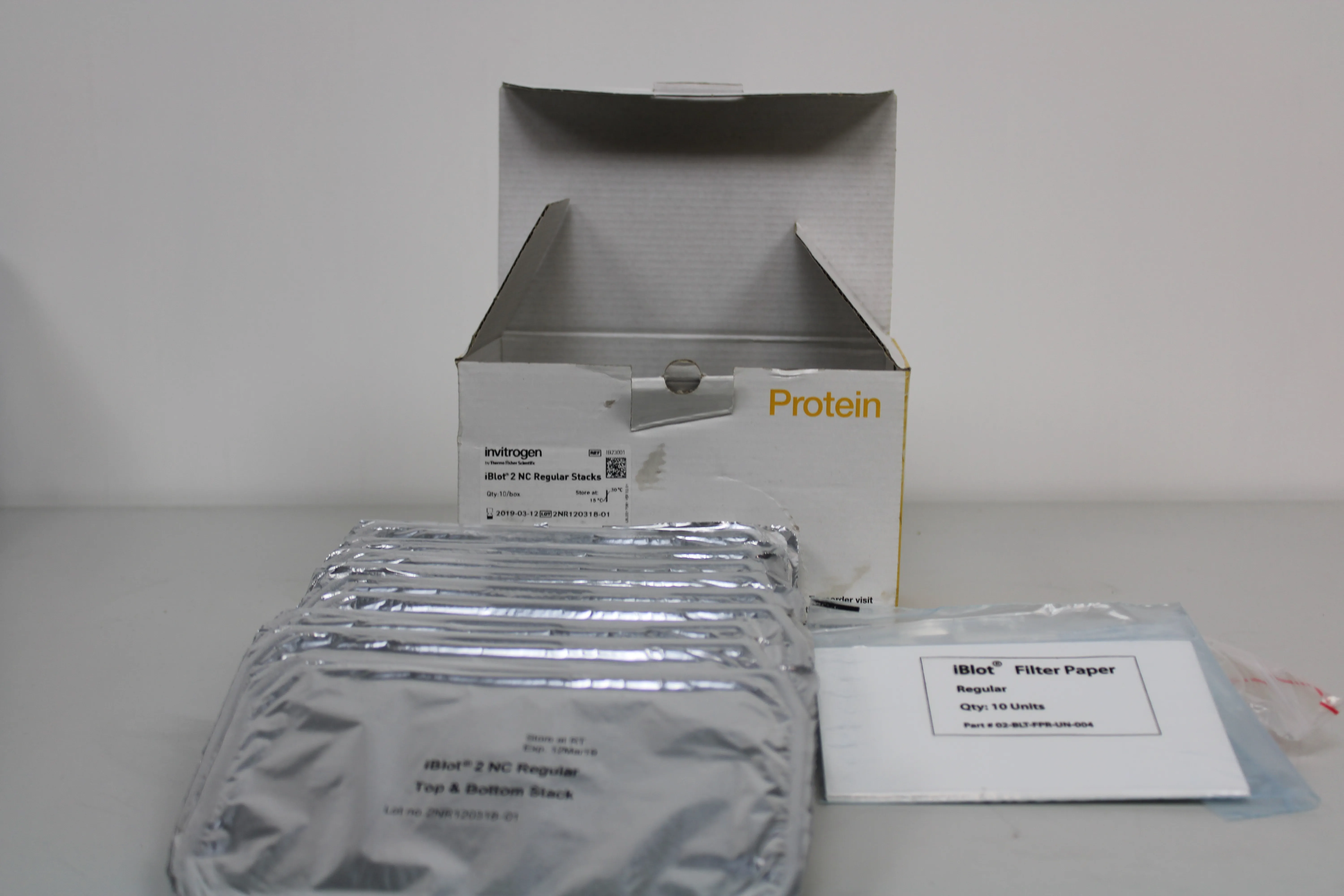 Thermo Scientific Invitrogen Power Blotter System 22838