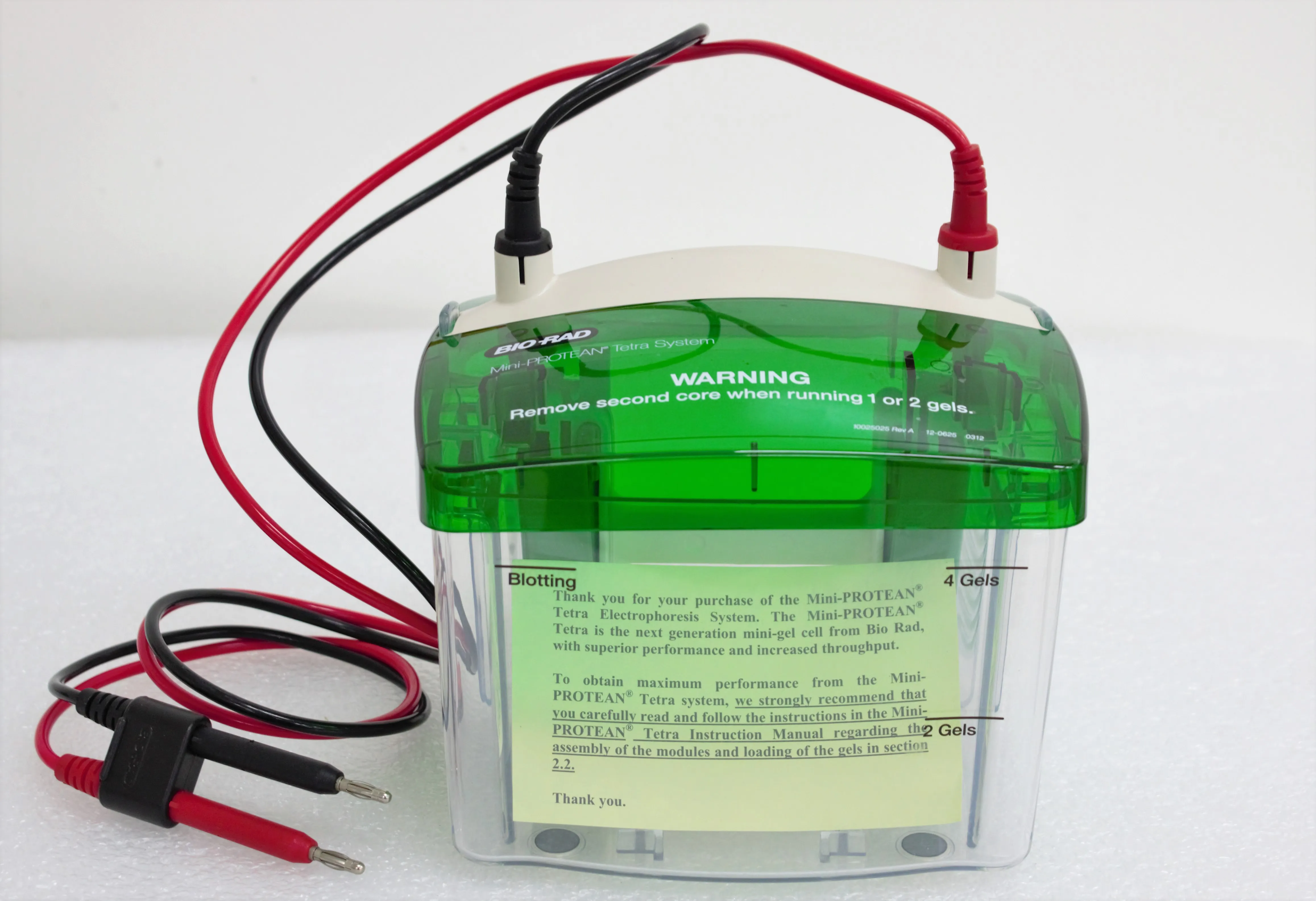 Bio-Rad Mini PROTEAN Tetra Cell Electrophoresis System