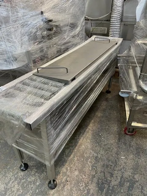 Corima Roller Conveyor Pharma Lab Equipment Italy Make