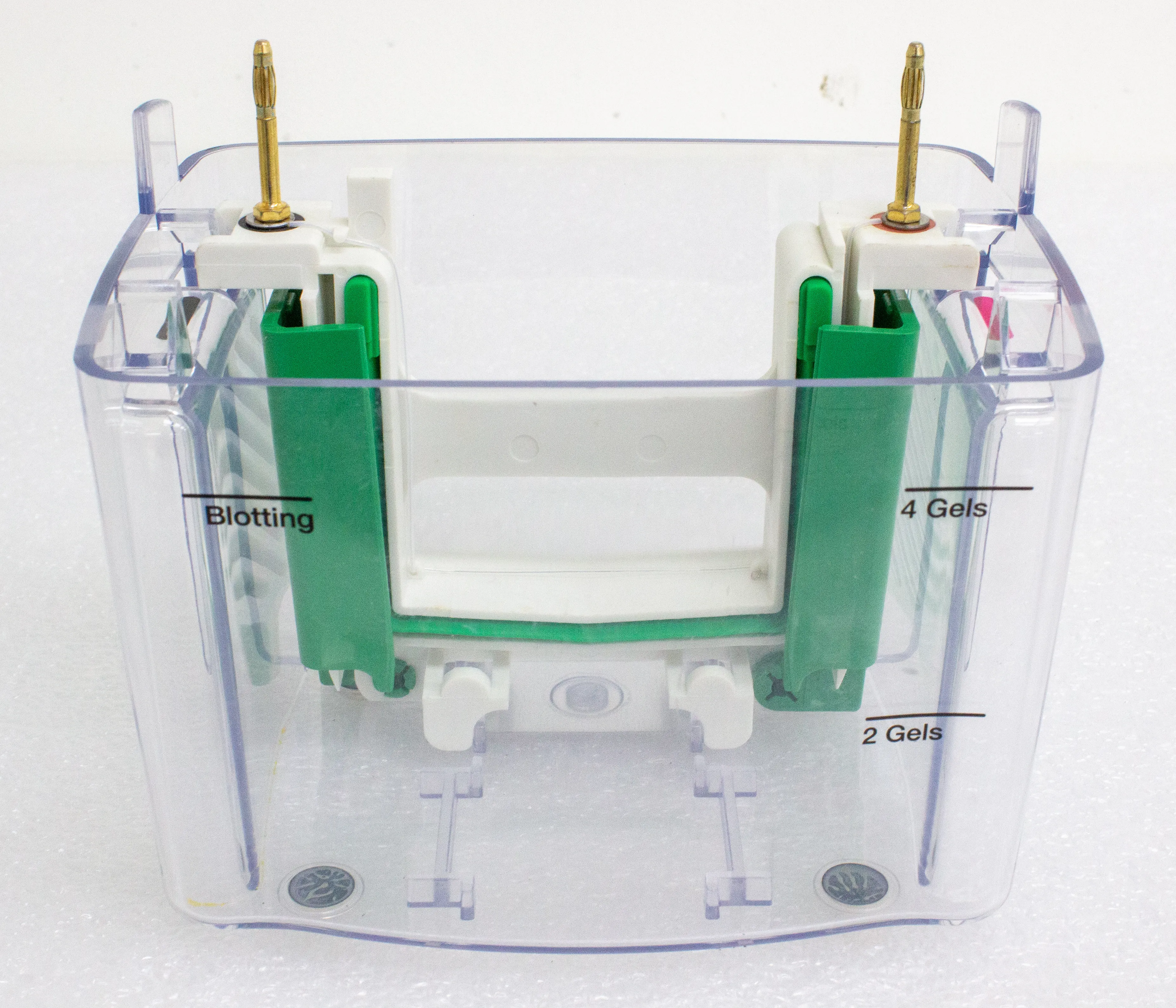 Bio-Rad Mini PROTEAN Tetra Cell Electrophoresis System