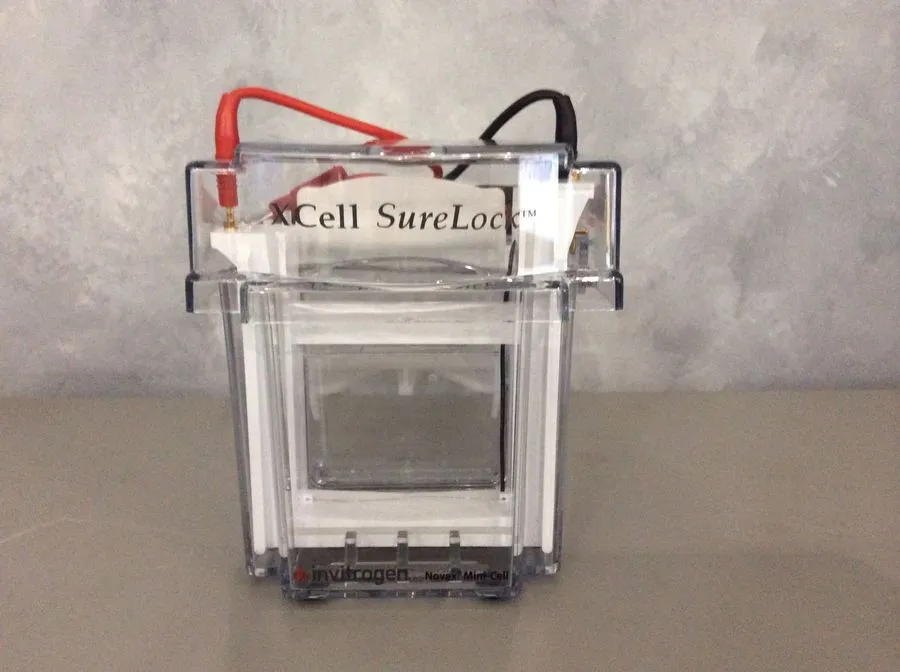 Invitrogen XCell Surelock Electrophoresis Accessory