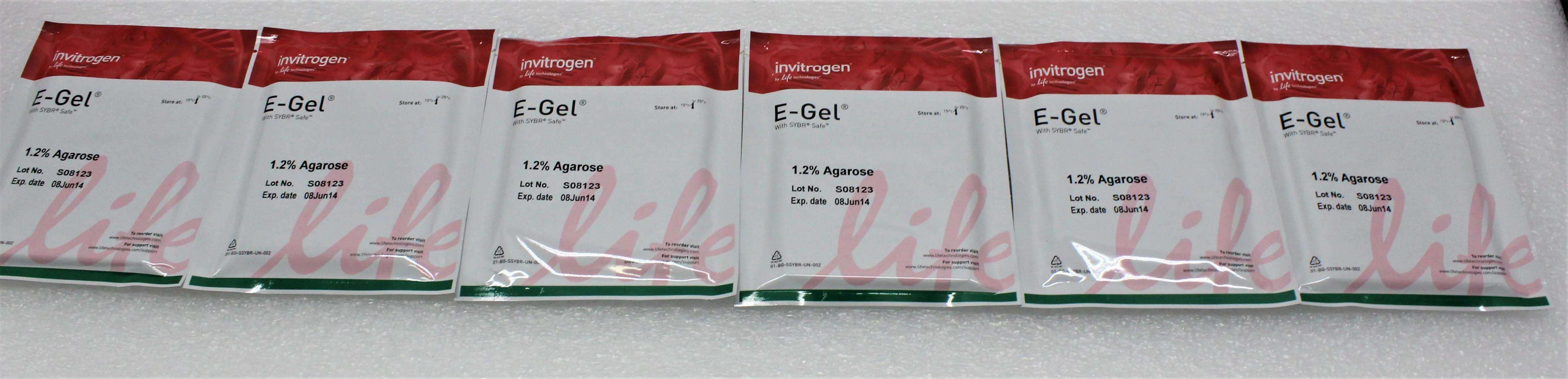 Invitrogen E-Gel Agarose Gels with SYBR Safe DNA Gel Stain Starter Kit, 1.2%