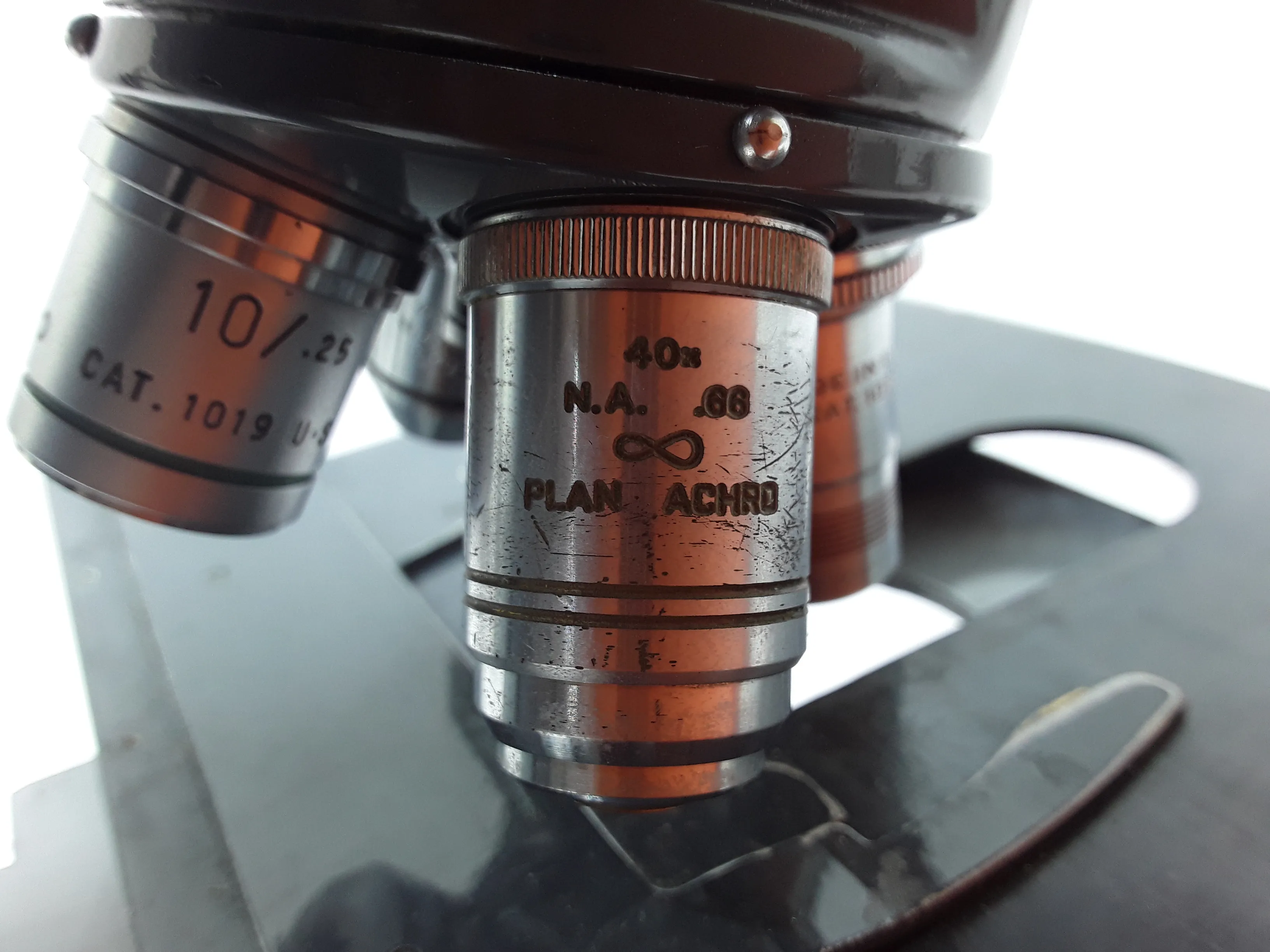 American Optical Spencer 1036 Microscope