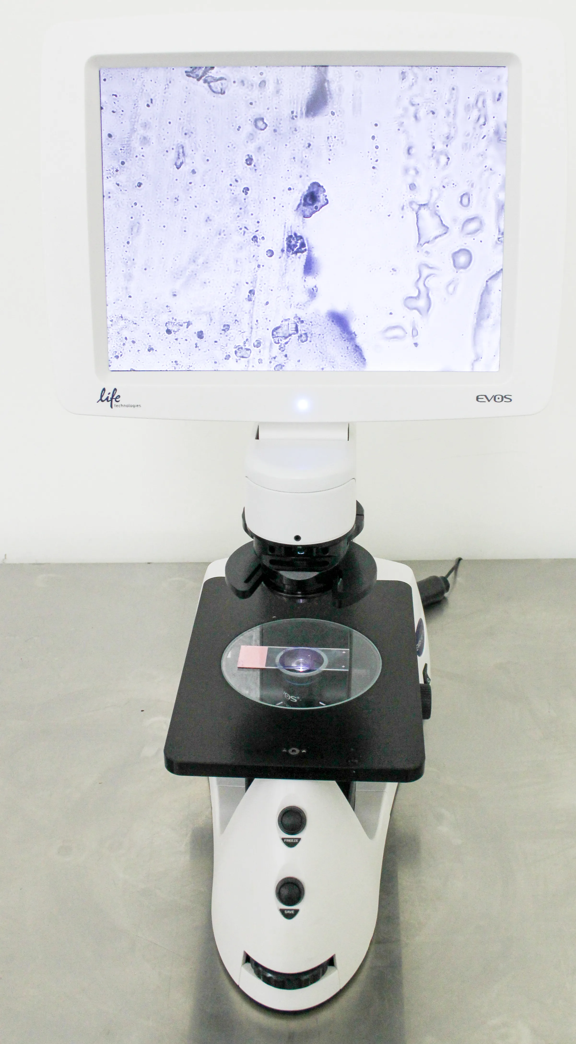 Thermo Invitrogen EVOS XL Core Imaging System AMEX1000