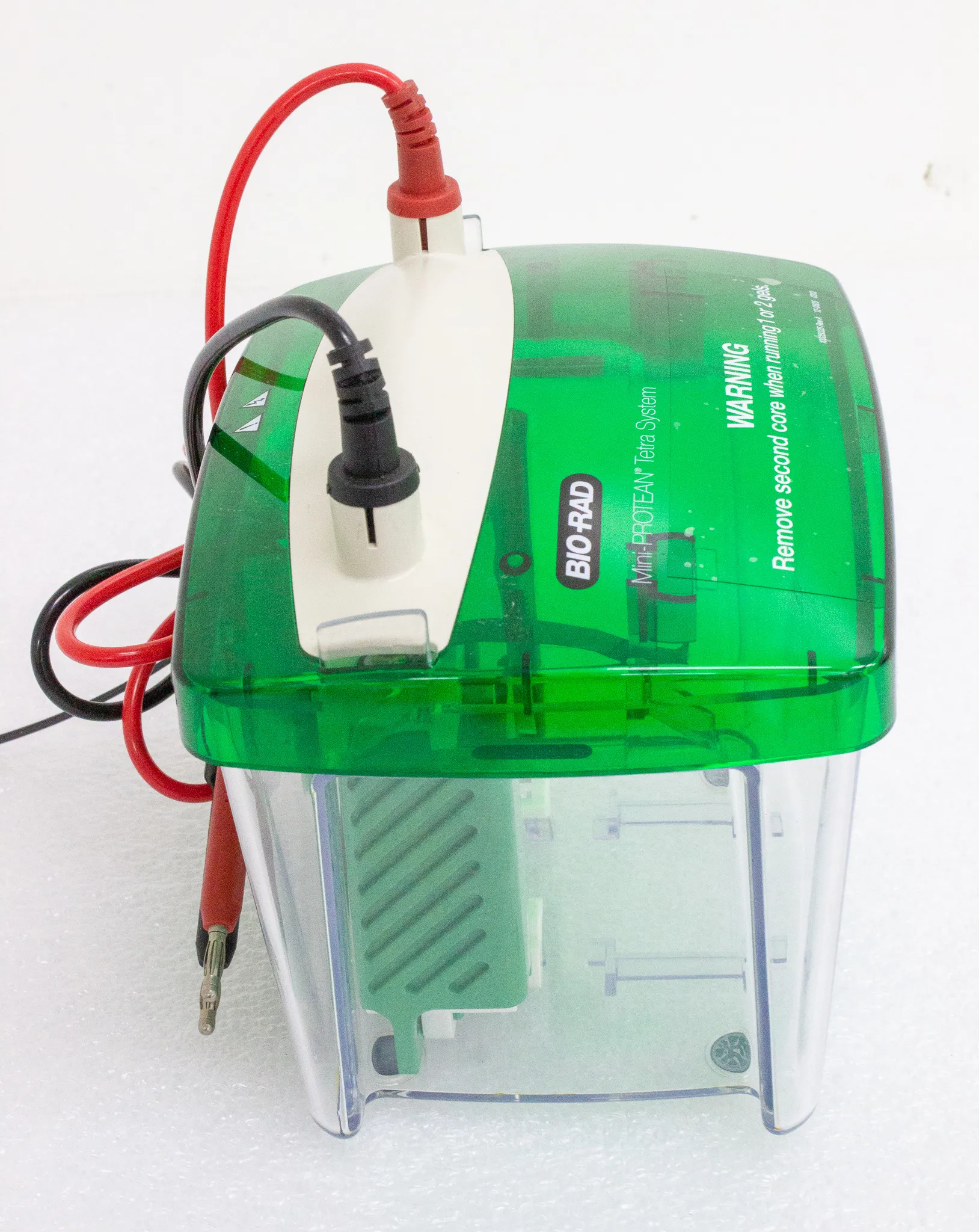 Bio-Rad Mini PROTEAN Tetra Cell Electrophoresis System