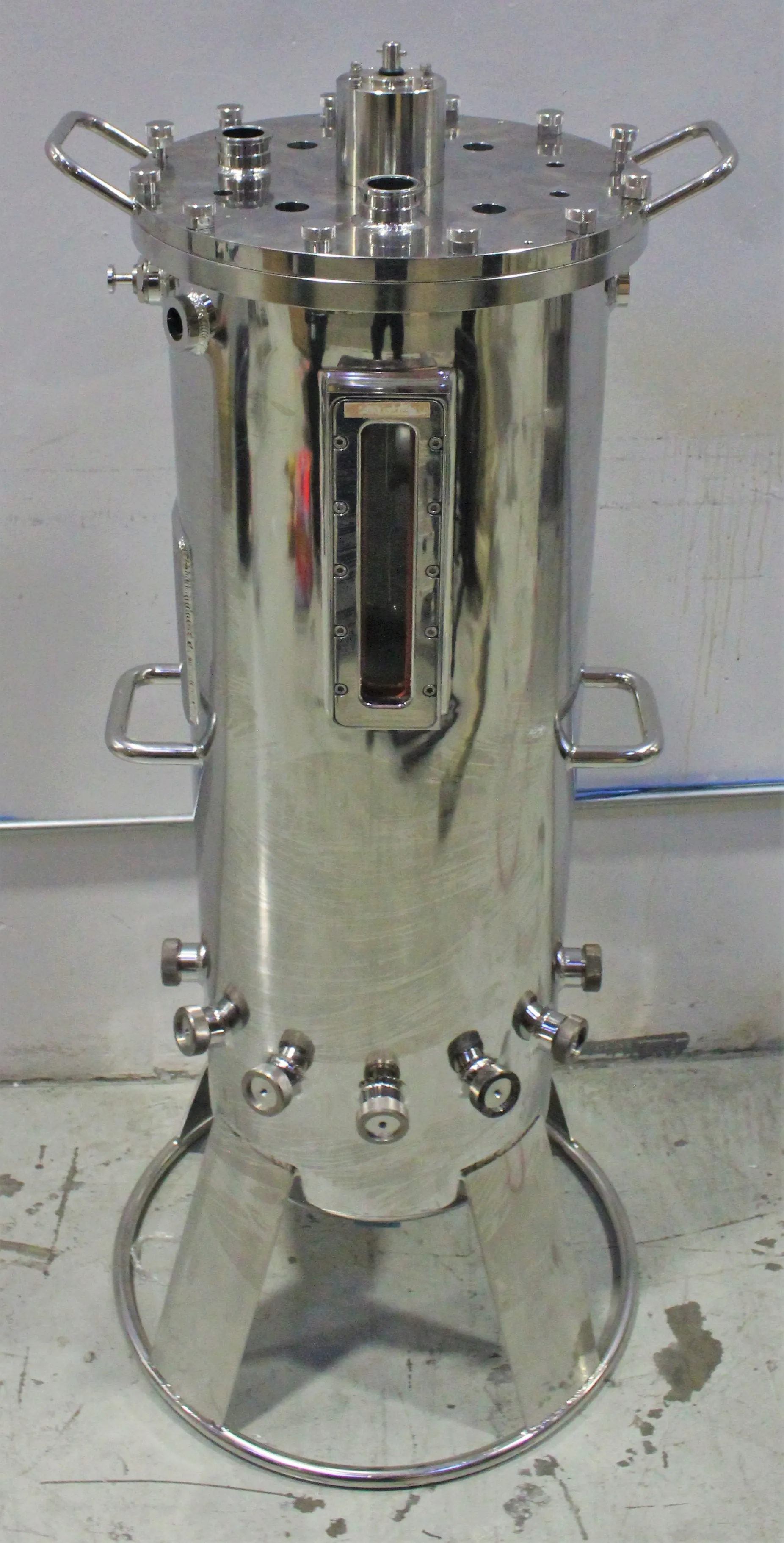 Applikon Bio Clave 110L Turnkey Bioreactor