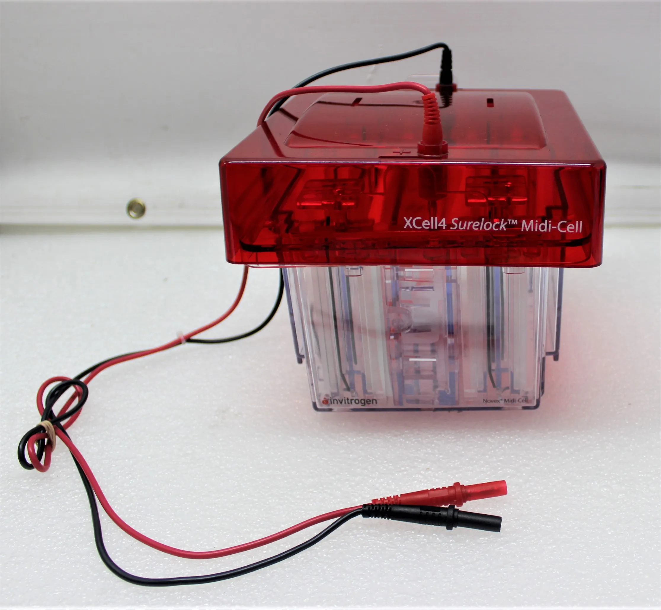 Invitrogen Novex XCell4 Surelock Midi-Cell Electrophoresis System