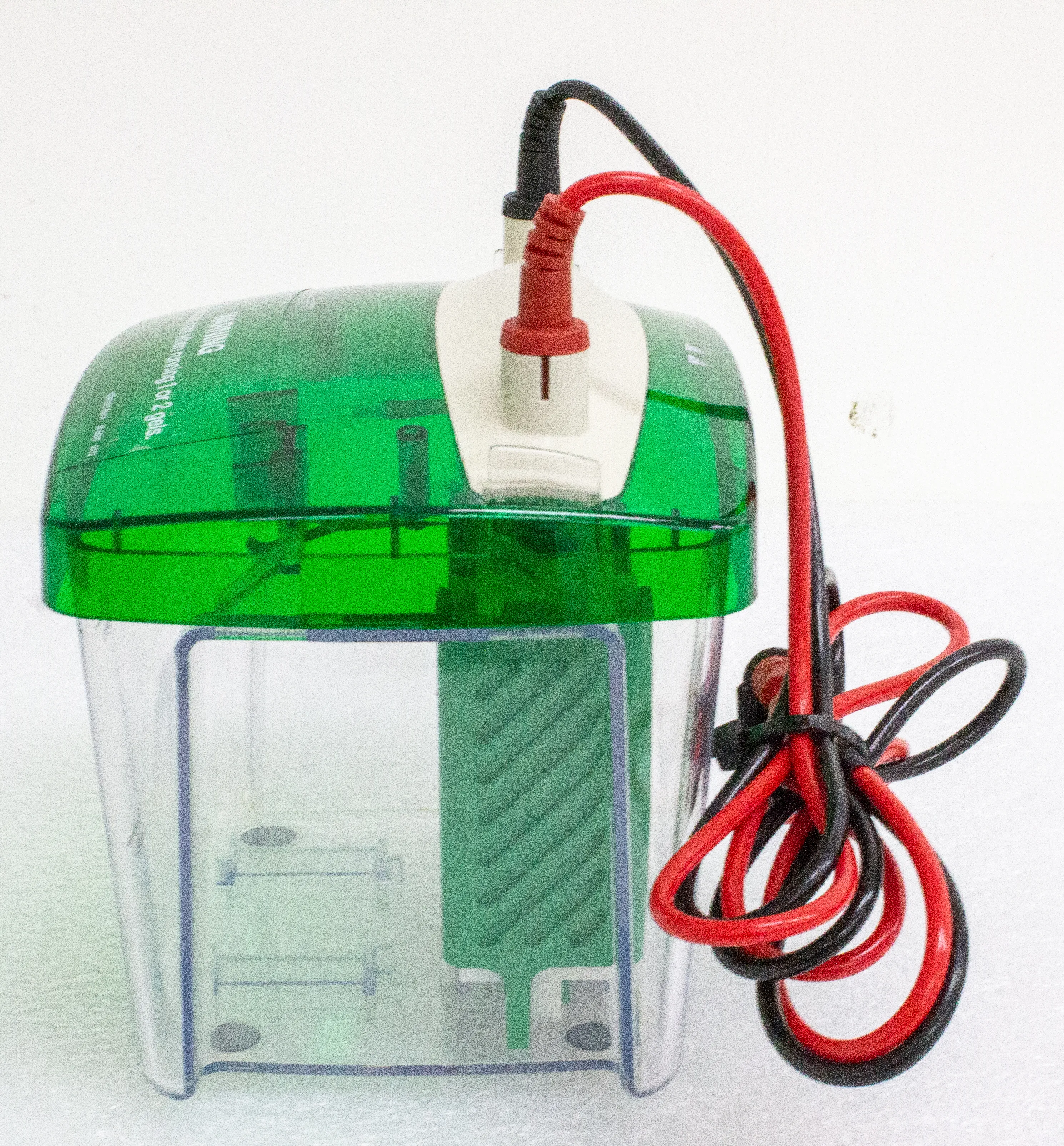 Bio-Rad Mini PROTEAN Tetra Cell Electrophoresis System