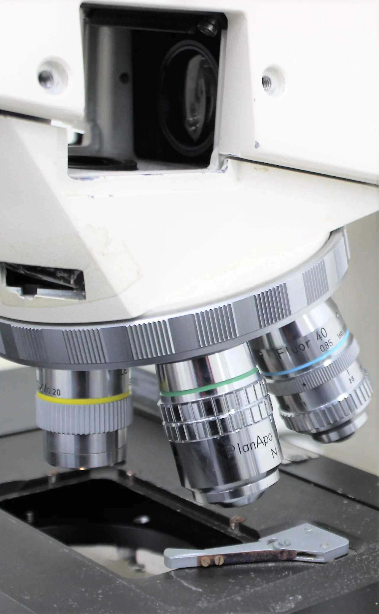 Zeiss Axioskop Microscope with 30-Day Warranty