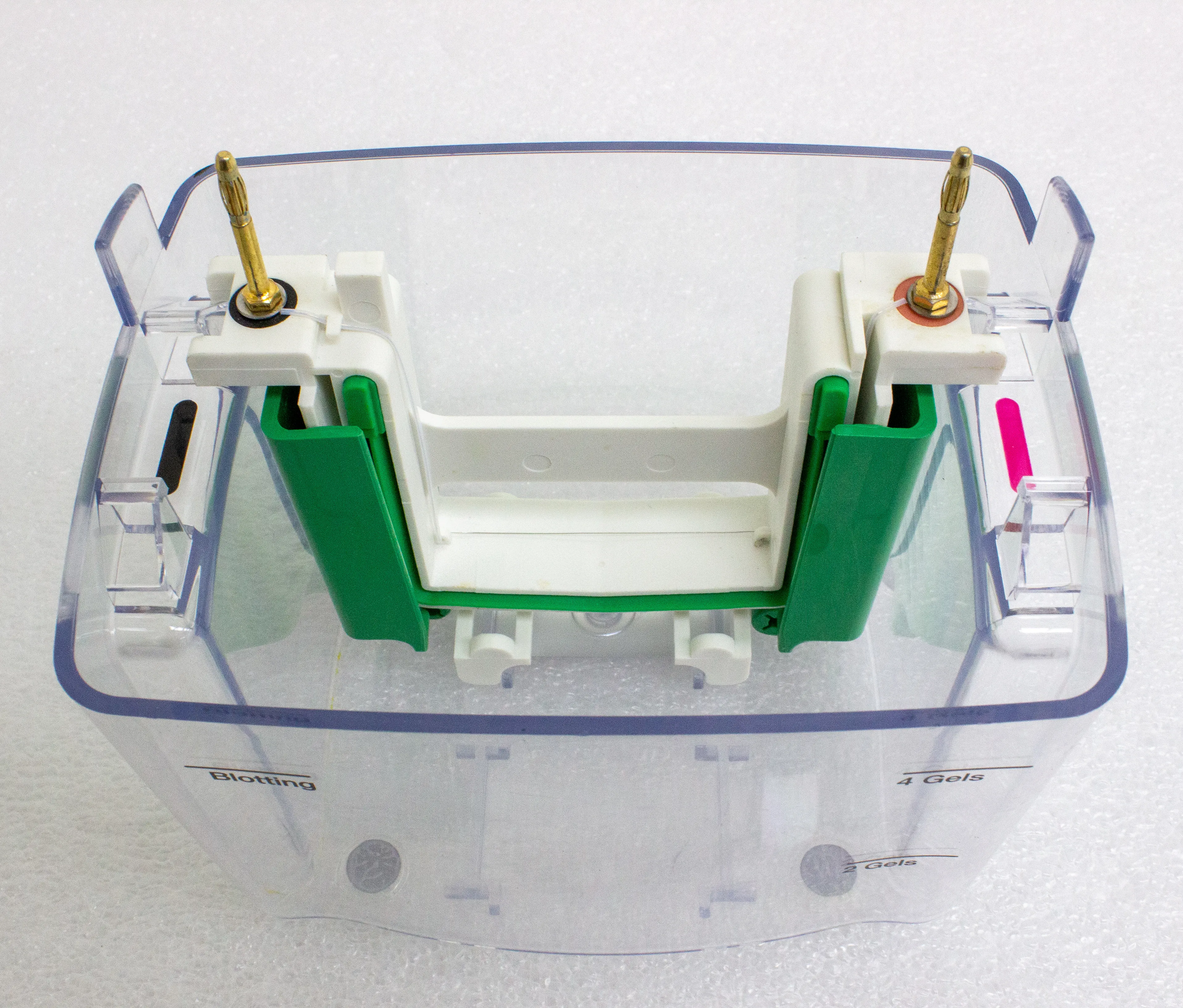 Bio-Rad Mini PROTEAN Tetra Cell Electrophoresis System