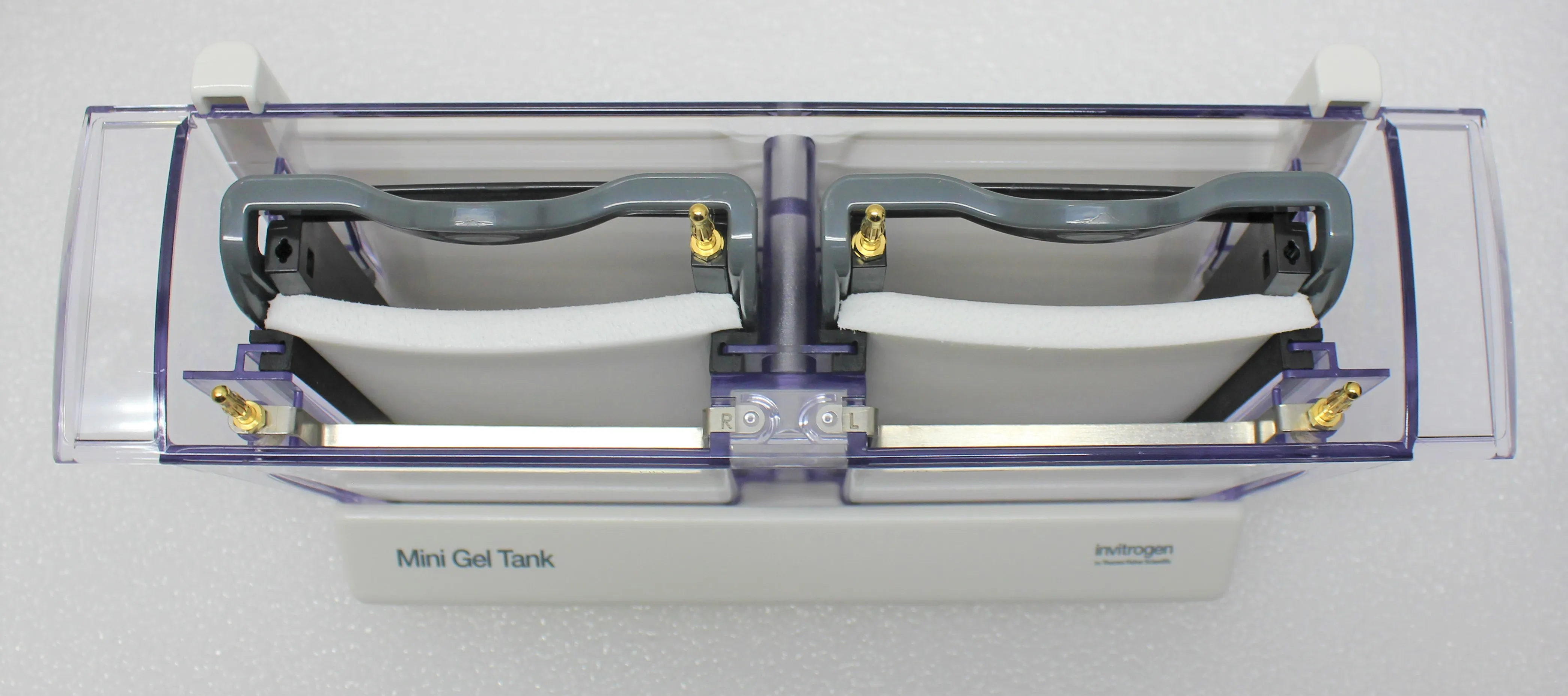 Thermo Scientific Mini Gel Tank Electrophoresis System