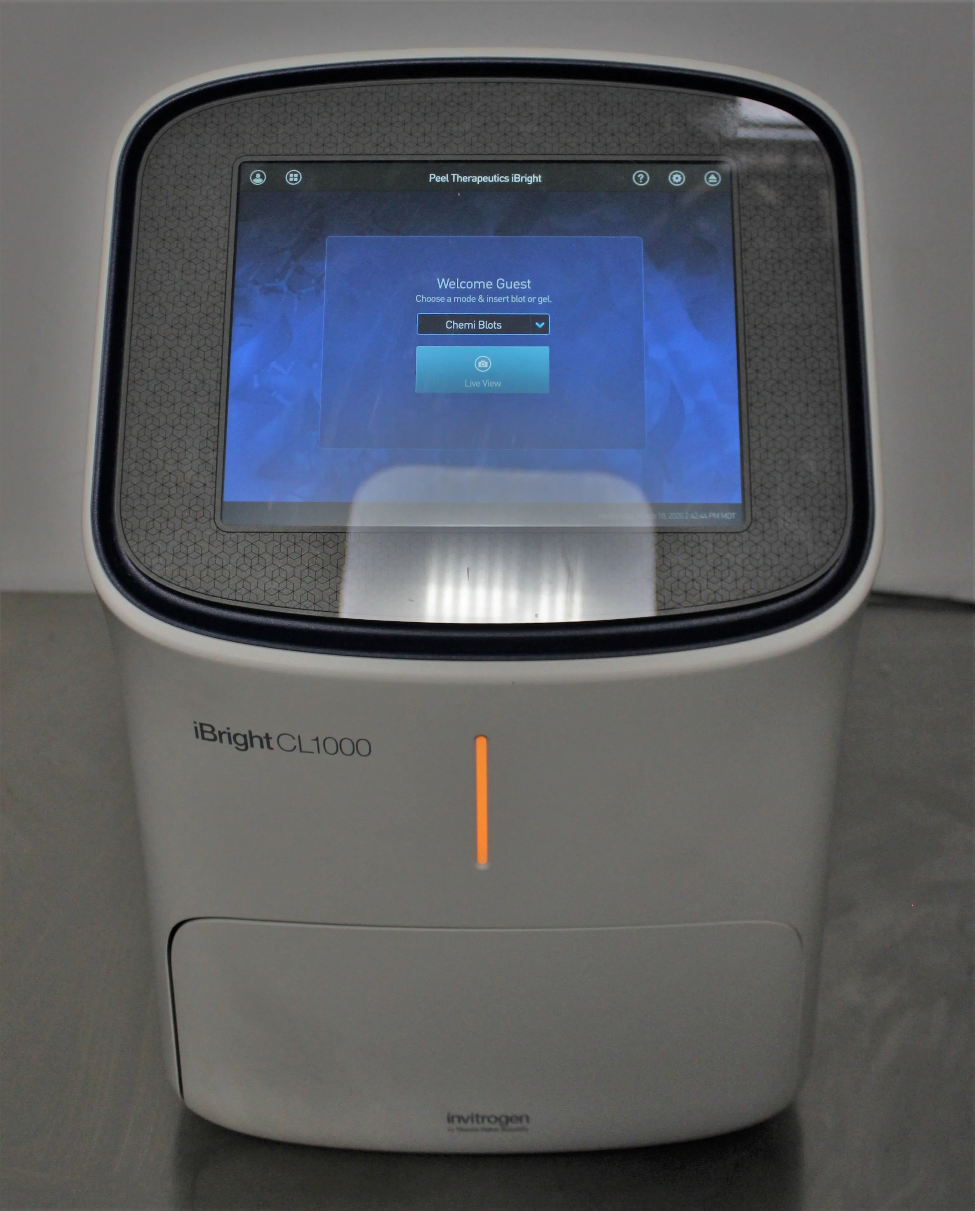 Invitrogen iBright CL1000 Imaging System