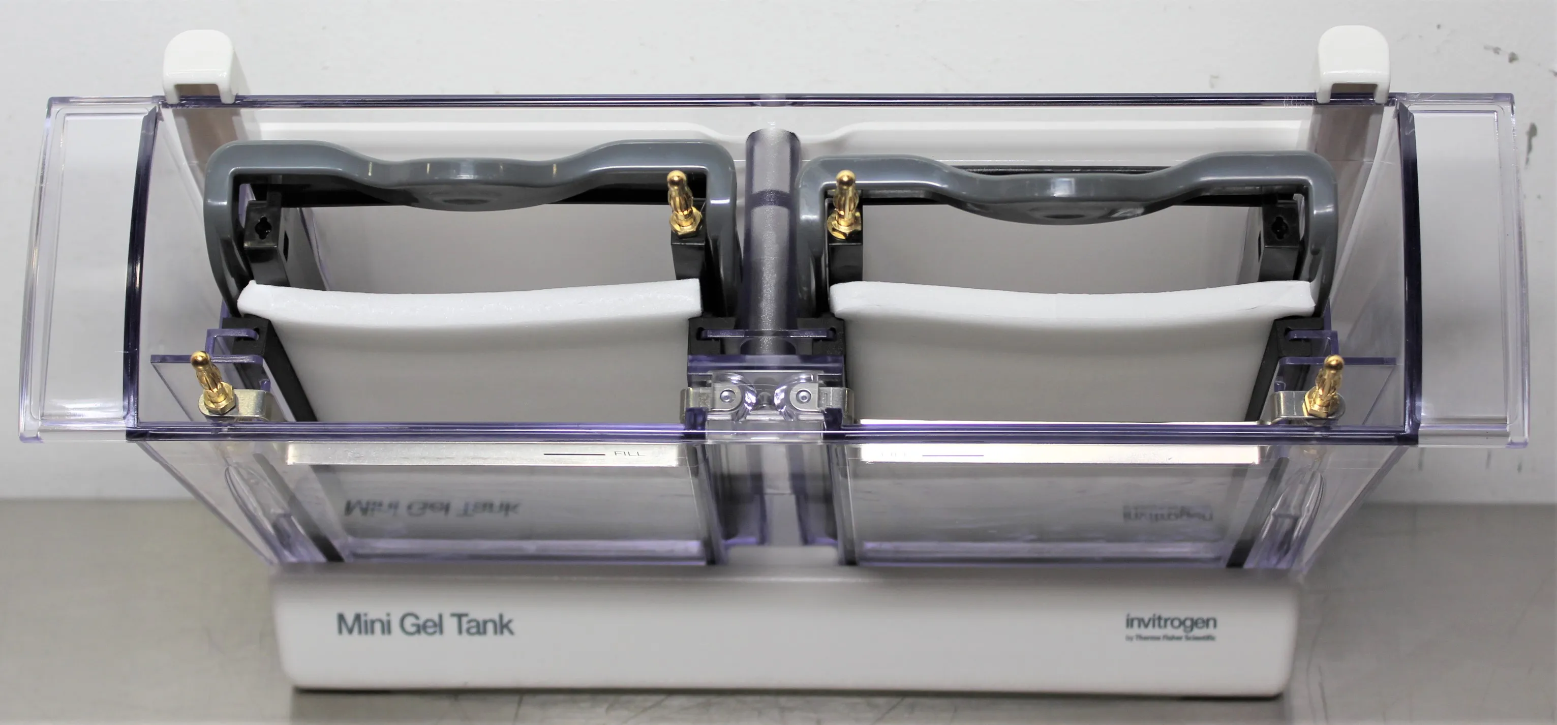 Invitrogen A25977 Mini Gel Tank Electrophoresis System