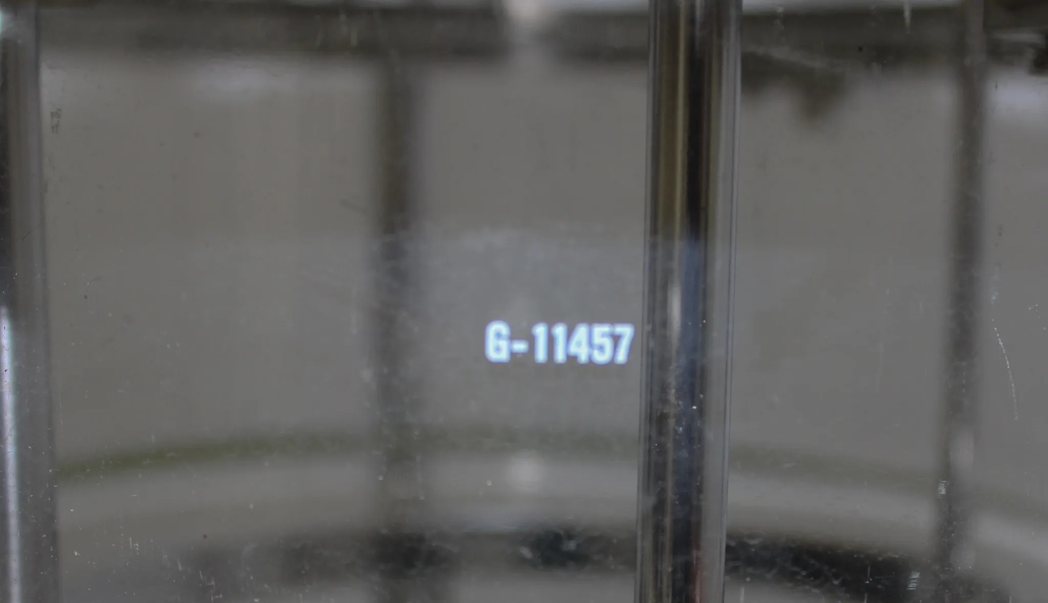 5L Glass Bioreactor for Microbial Fermentation G-11457