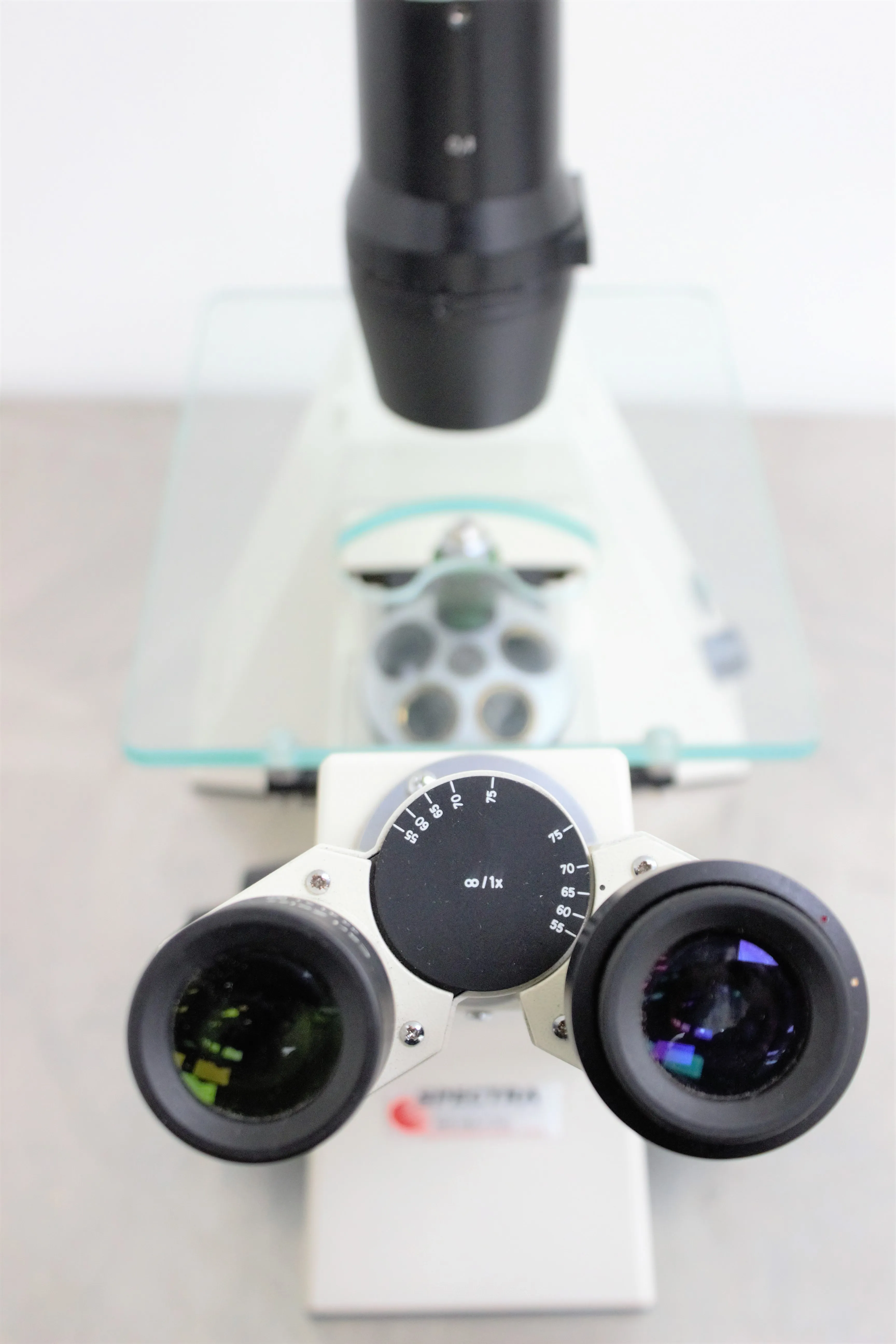 Zeiss Axiovert 25 CFL Inverted Fluorescence Microscope