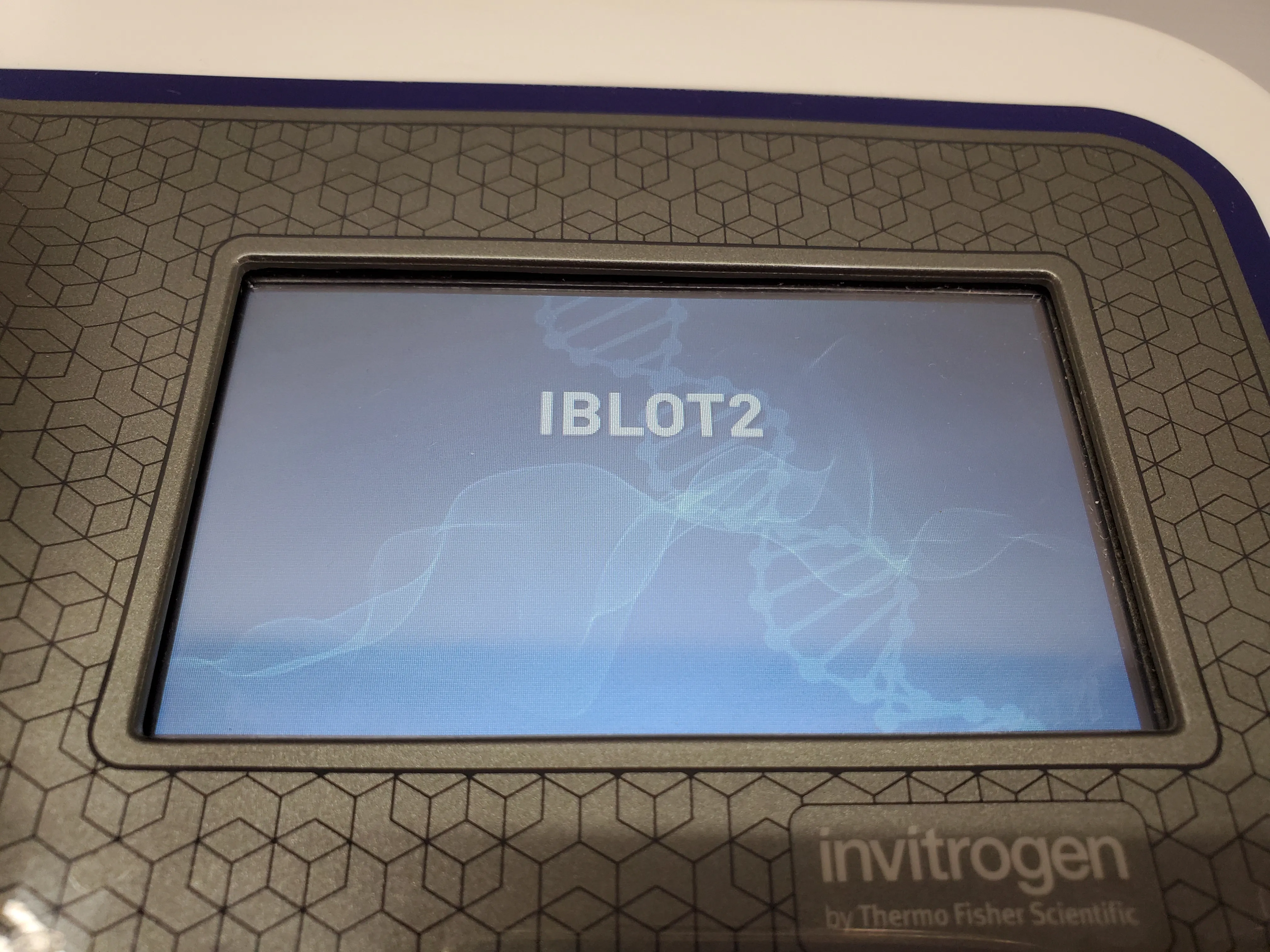 Invitrogen iBlot 2 Gel Transfer Device IB21001