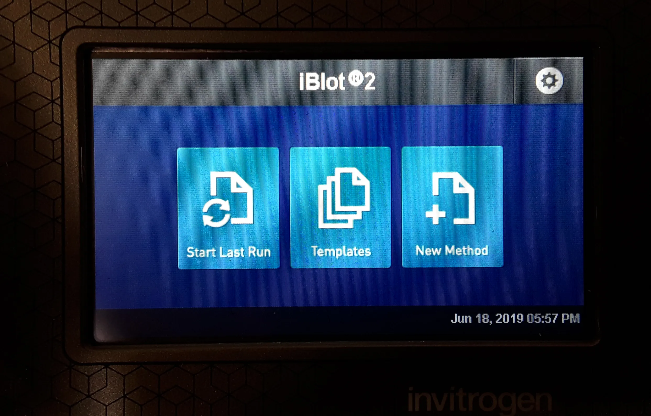 Invitrogen iBlot 2 Gel Transfer Device IB21001 Electrophoresis Vacuum Manifold