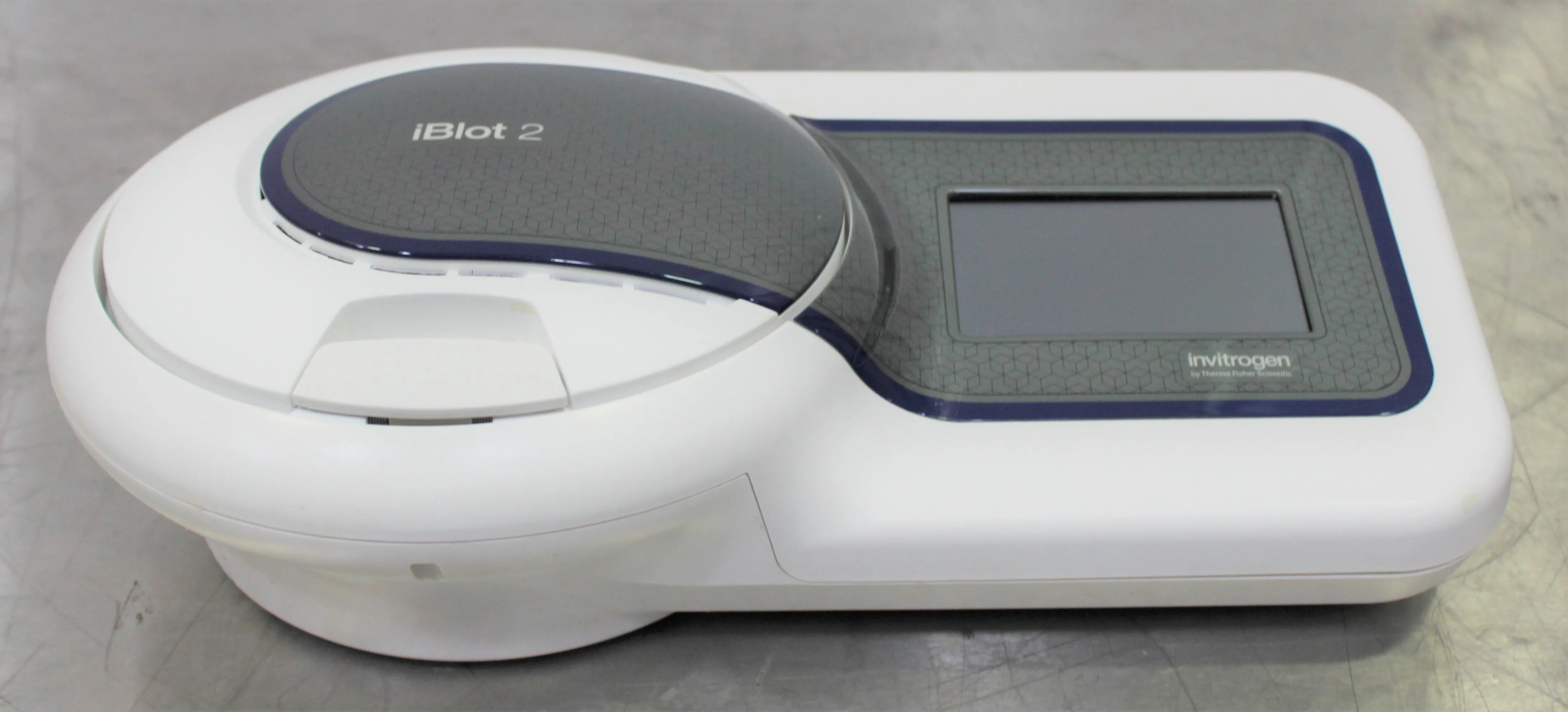 Invitrogen iBlot 2 Gel Transfer Device - Dry Blotting System