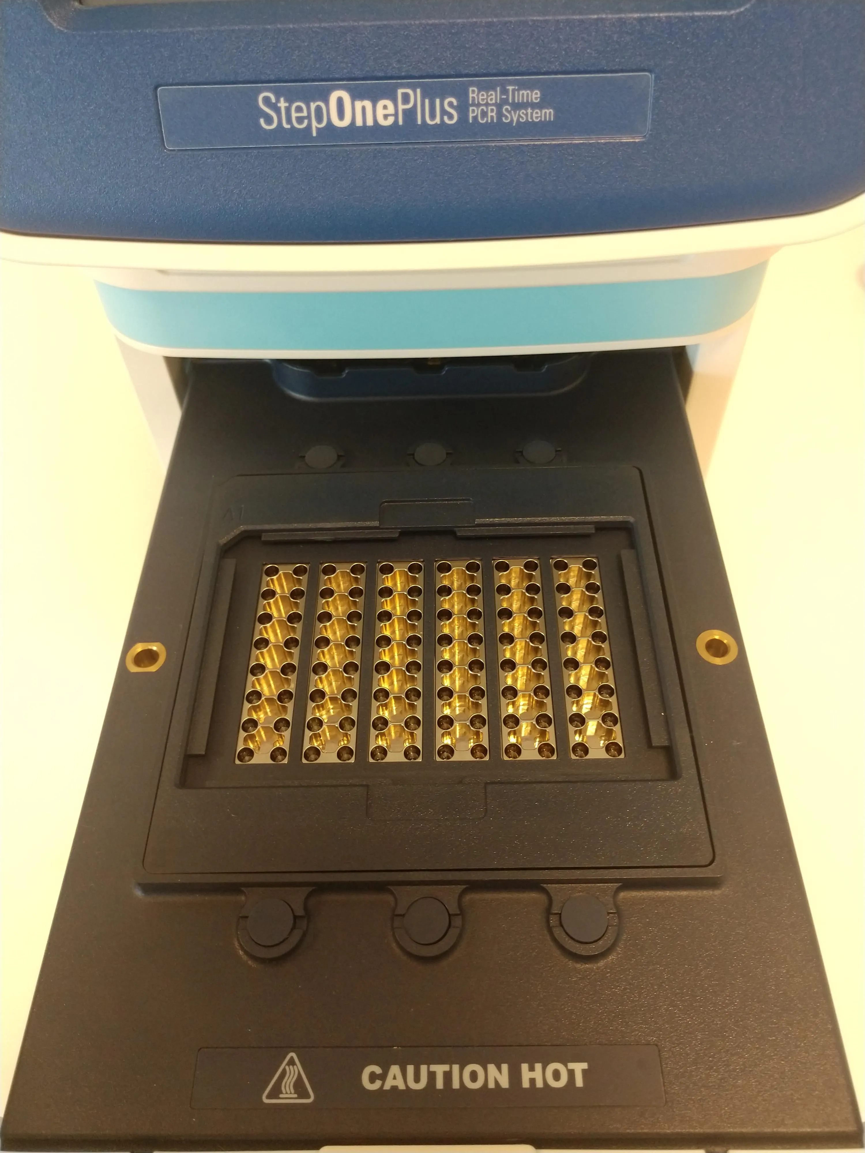 Applied Biosystems StepOne Plus Real-Time PCR System