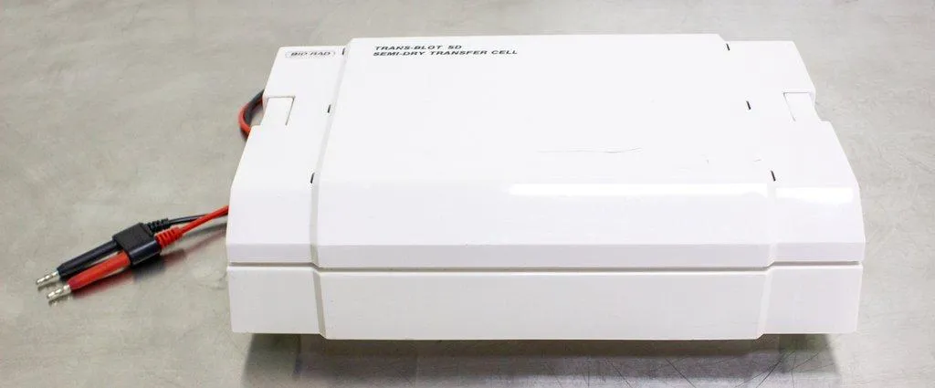 BIO-RAD Trans-Blot SD Semi-Dry Transfer Cell Electrophoresis System