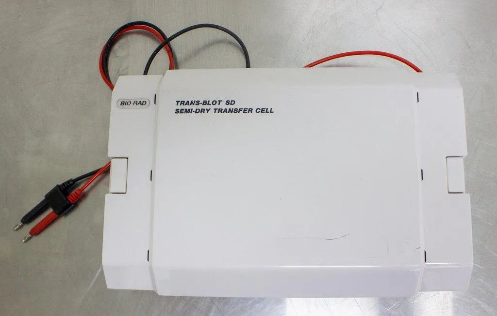 BIO-RAD Trans-Blot SD Semi-Dry Transfer Cell Electrophoresis System