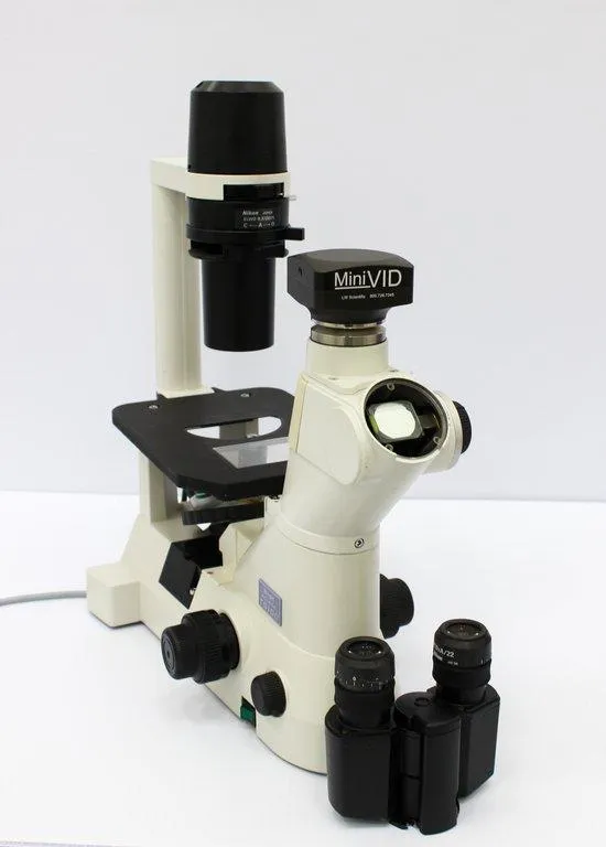 Nikon Eclipse TS100 Microscope with Broken Bottom Eyepiece and Light Bulb Replacement Needed