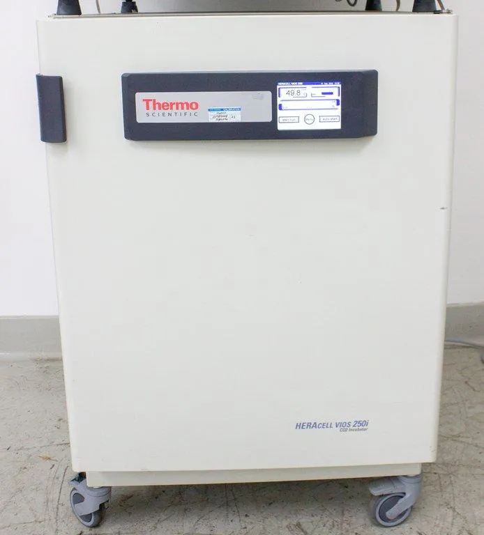 Thermo Scientific 51030992 Heracell Incubator 250i VIOS 9-cu ft | 255L