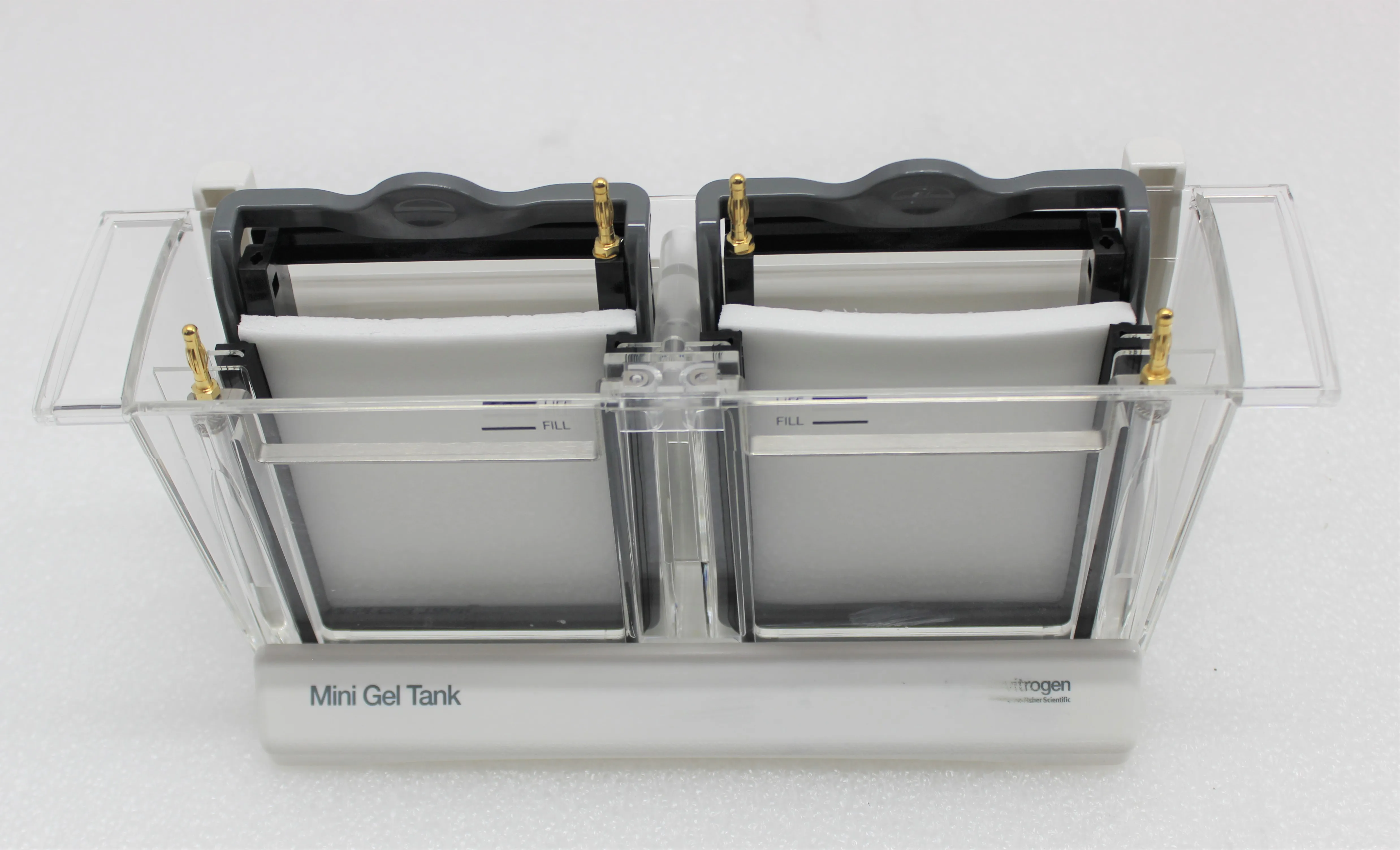 Invitrogen A25977 Mini Gel Tank Electrophoresis System