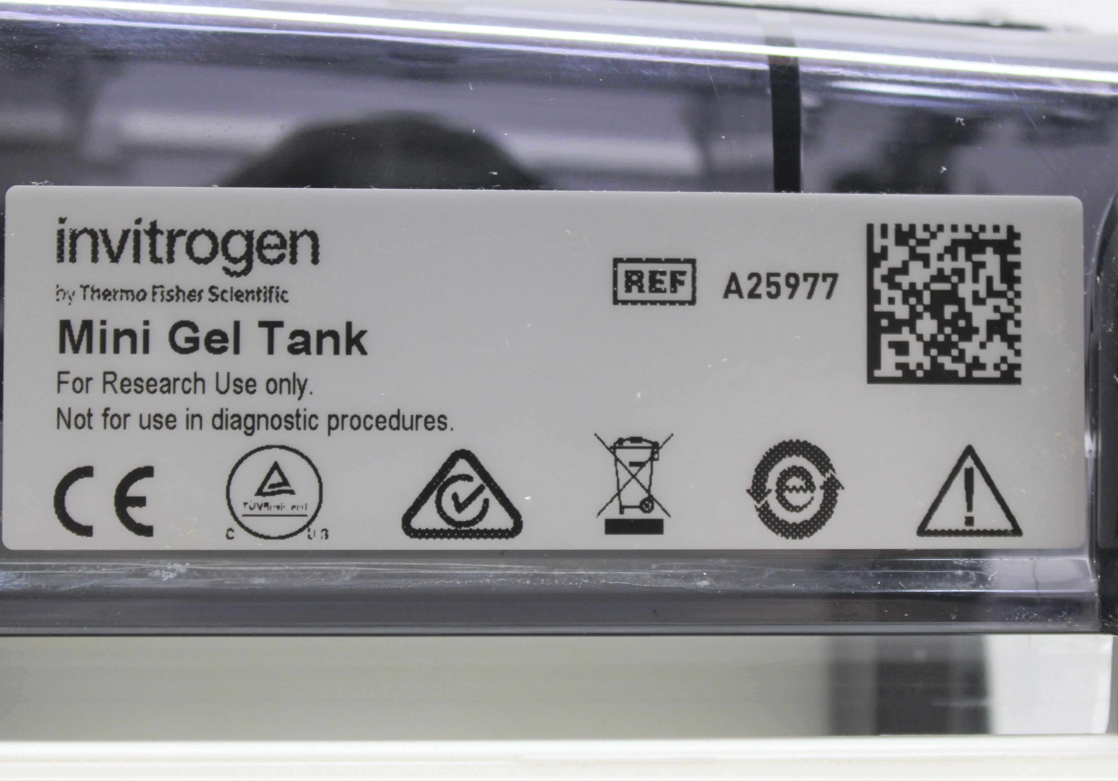 Invitrogen Mini Gel Tank A25977 Electrophoresis System