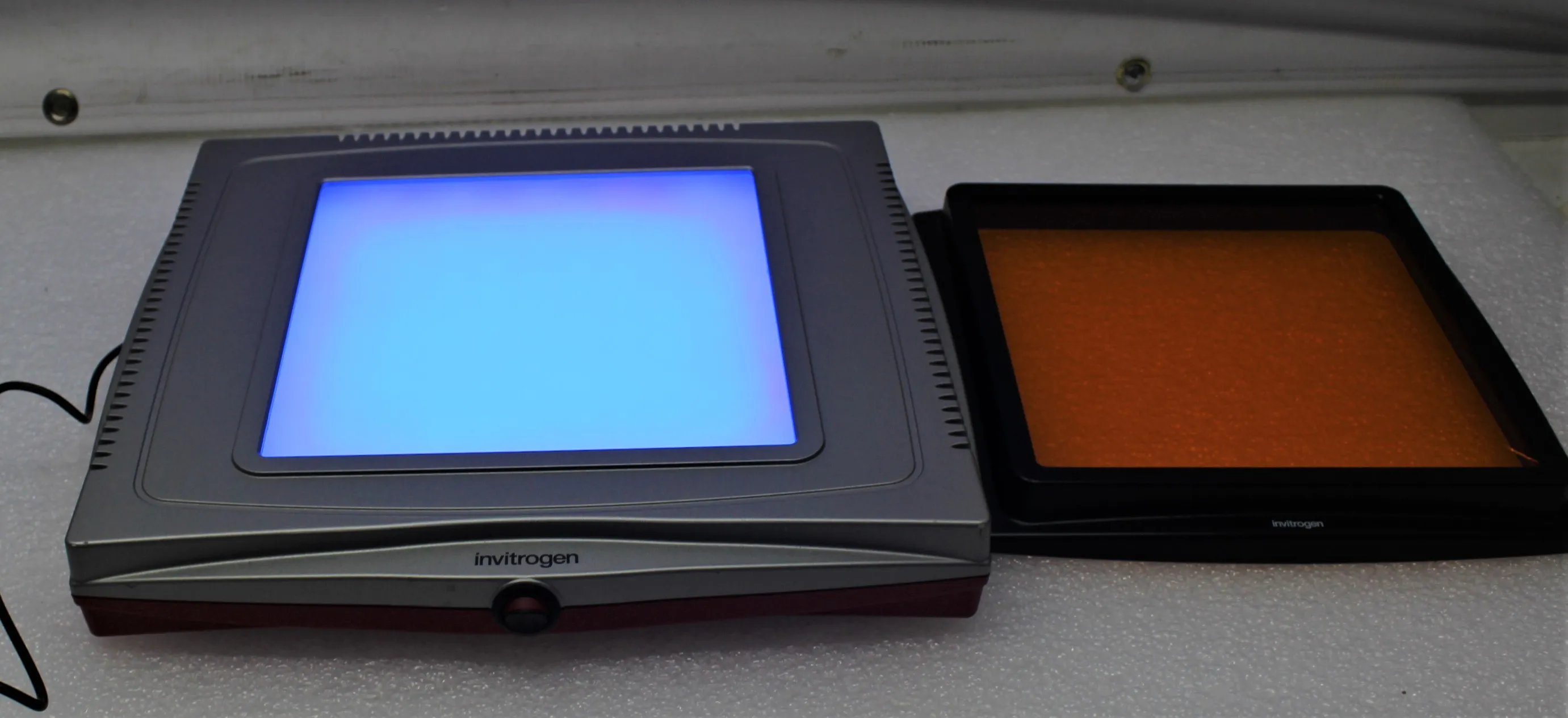 Invitrogen Safe Imager 2.0 Blue-Light Transilluminator G6600 120V/220V Used 30-Day Warranty