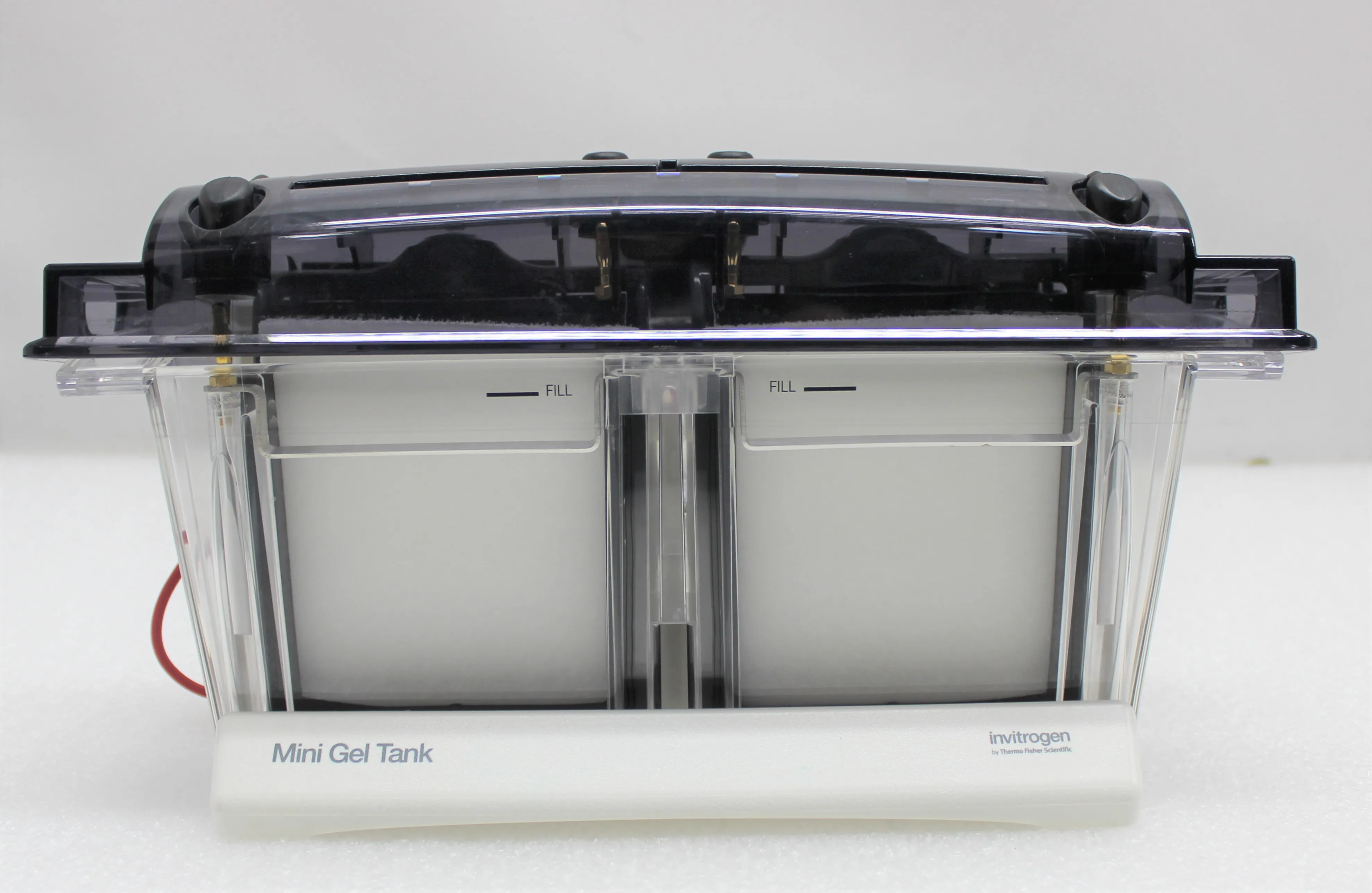 Invitrogen Mini Gel Tank A25977 Electrophoresis System