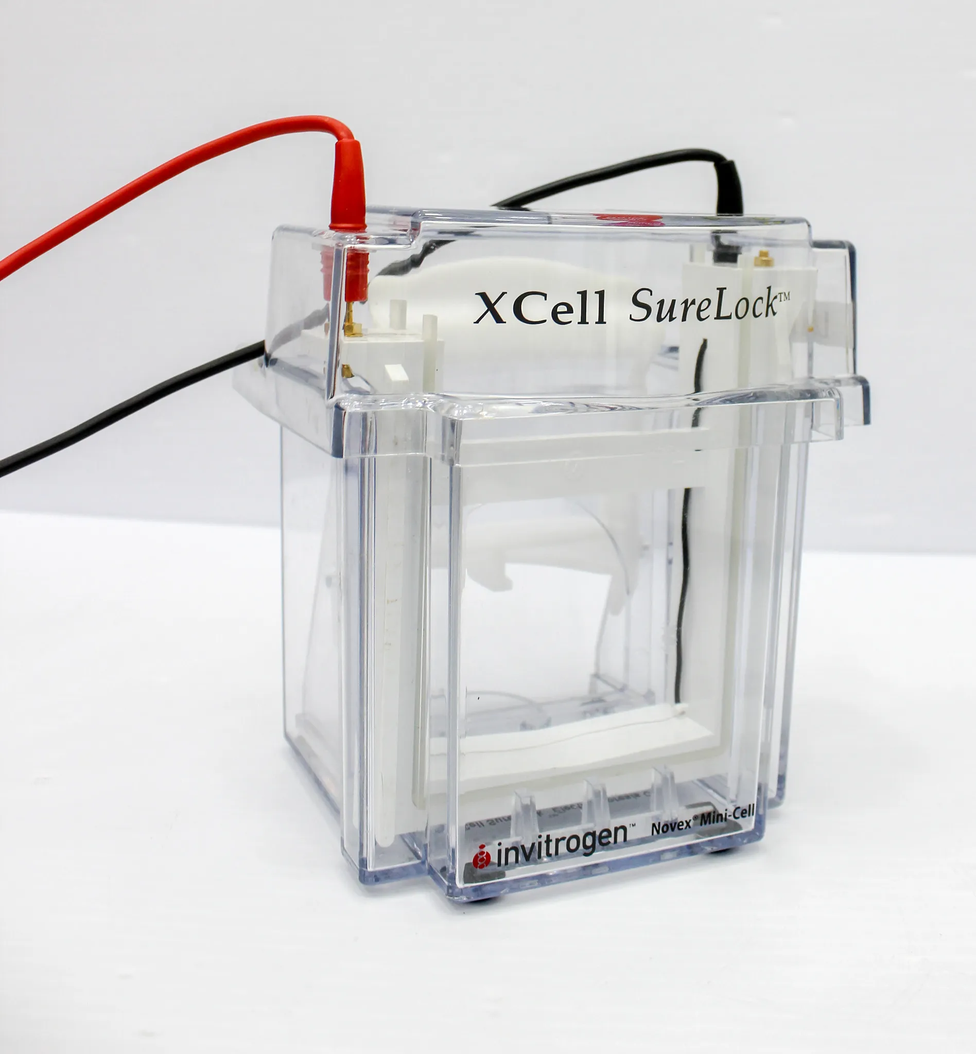 Invitrogen PowerEase 500 and Xcell SureLock Electrophoresis Cell System