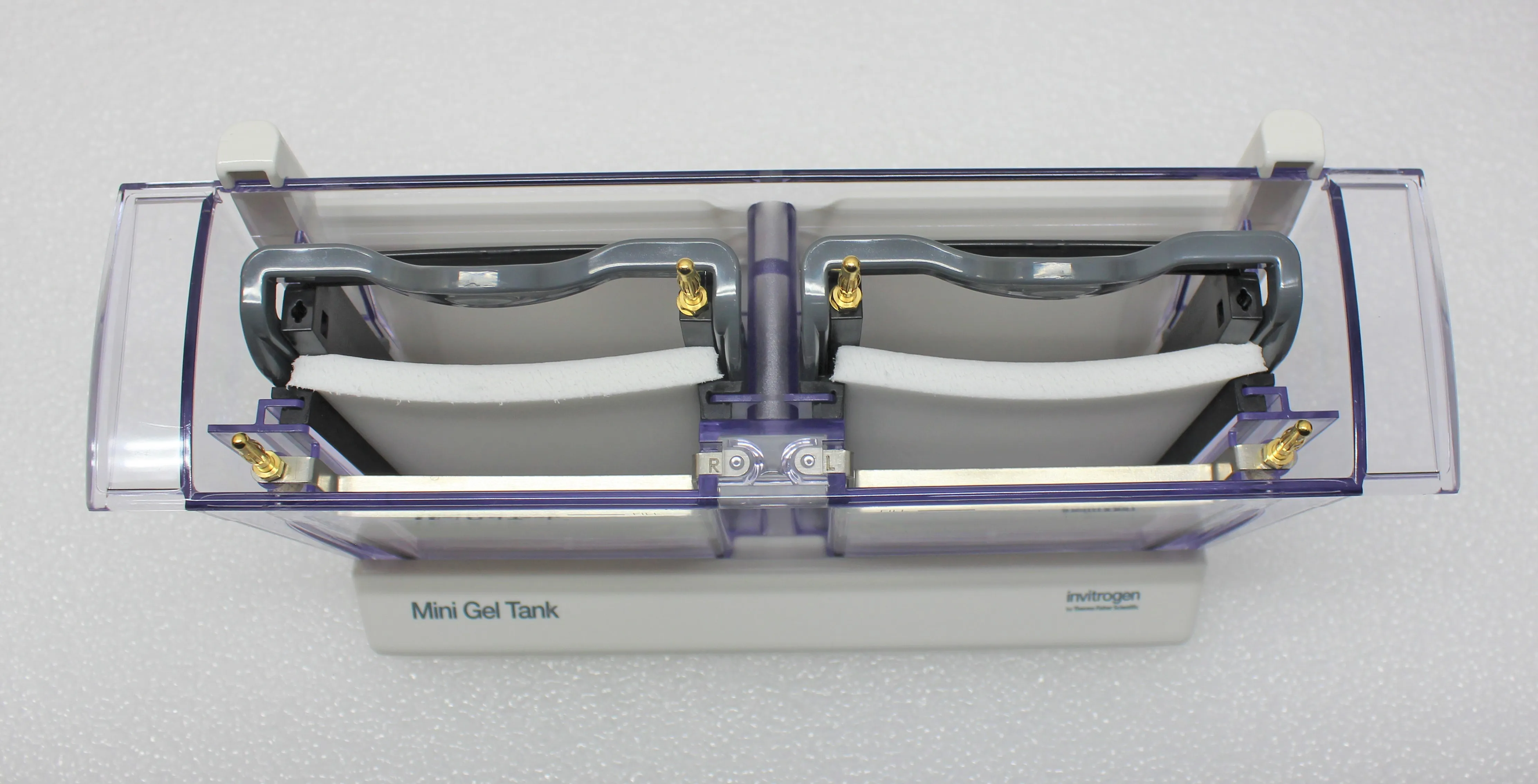 Thermo Scientific Mini Gel Tank Electrophoresis System