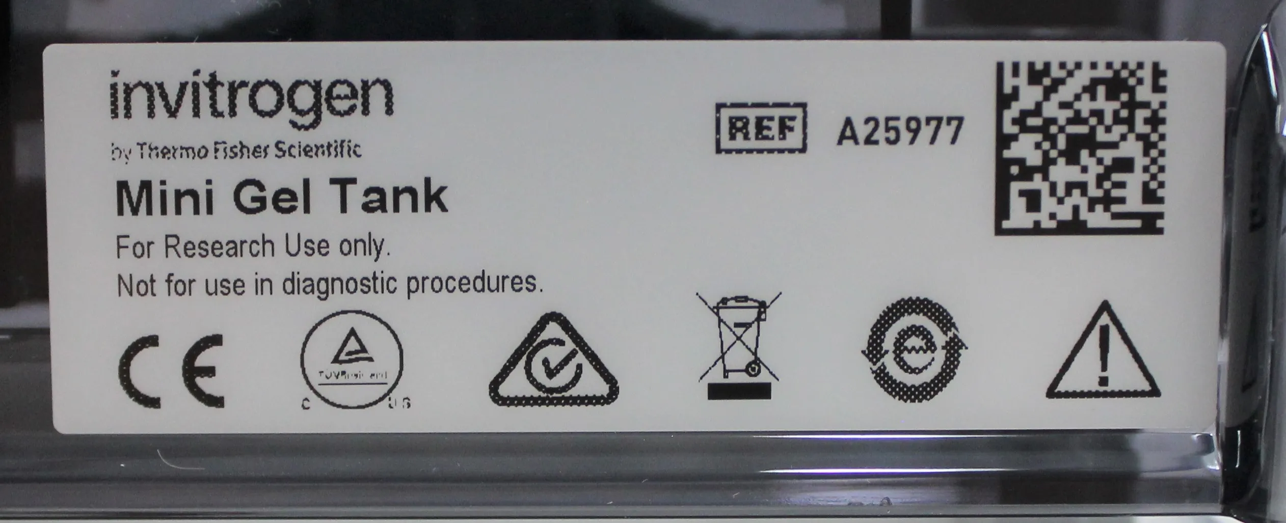 Invitrogen A25977 Mini Gel Electrophoresis System